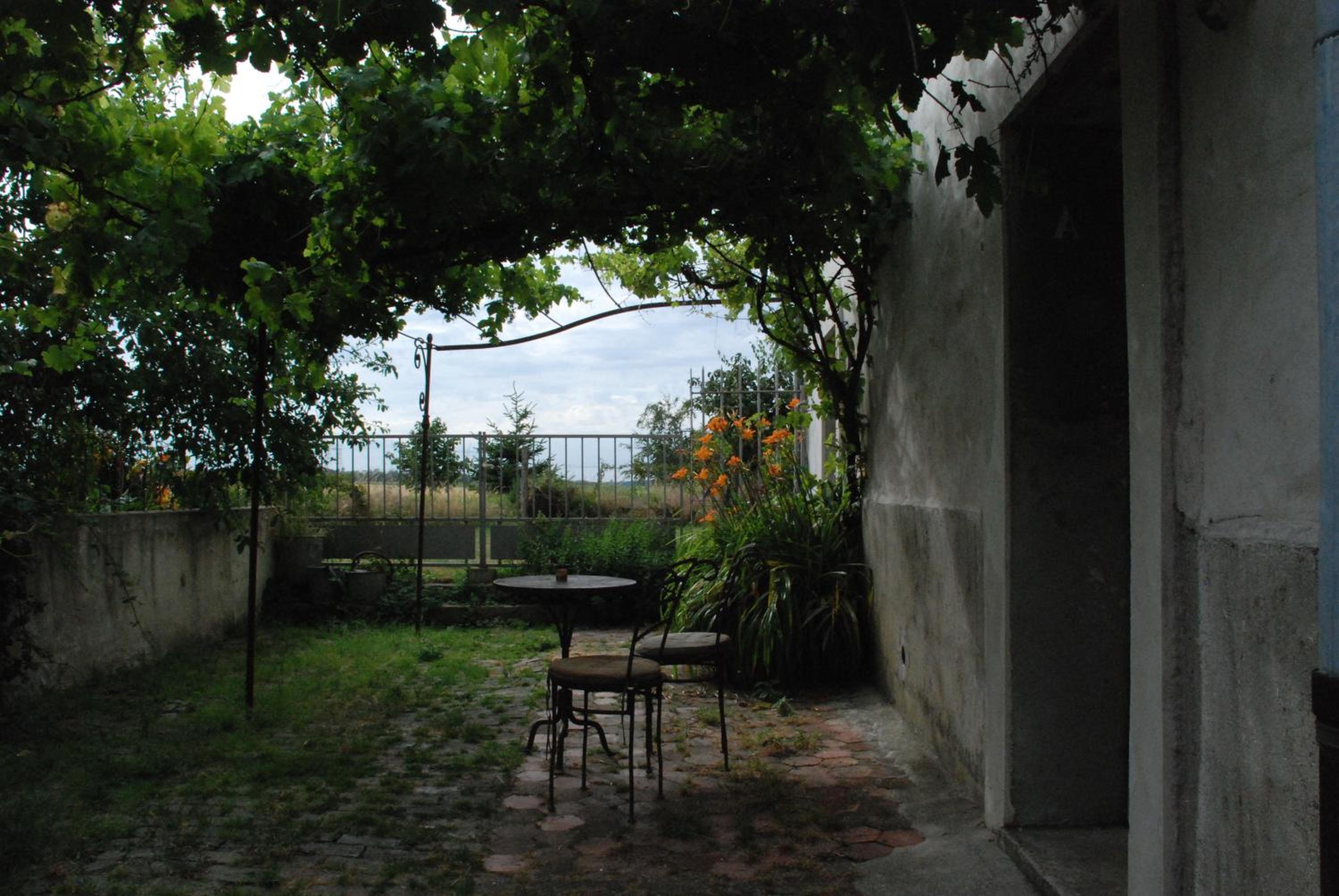 Photo 33