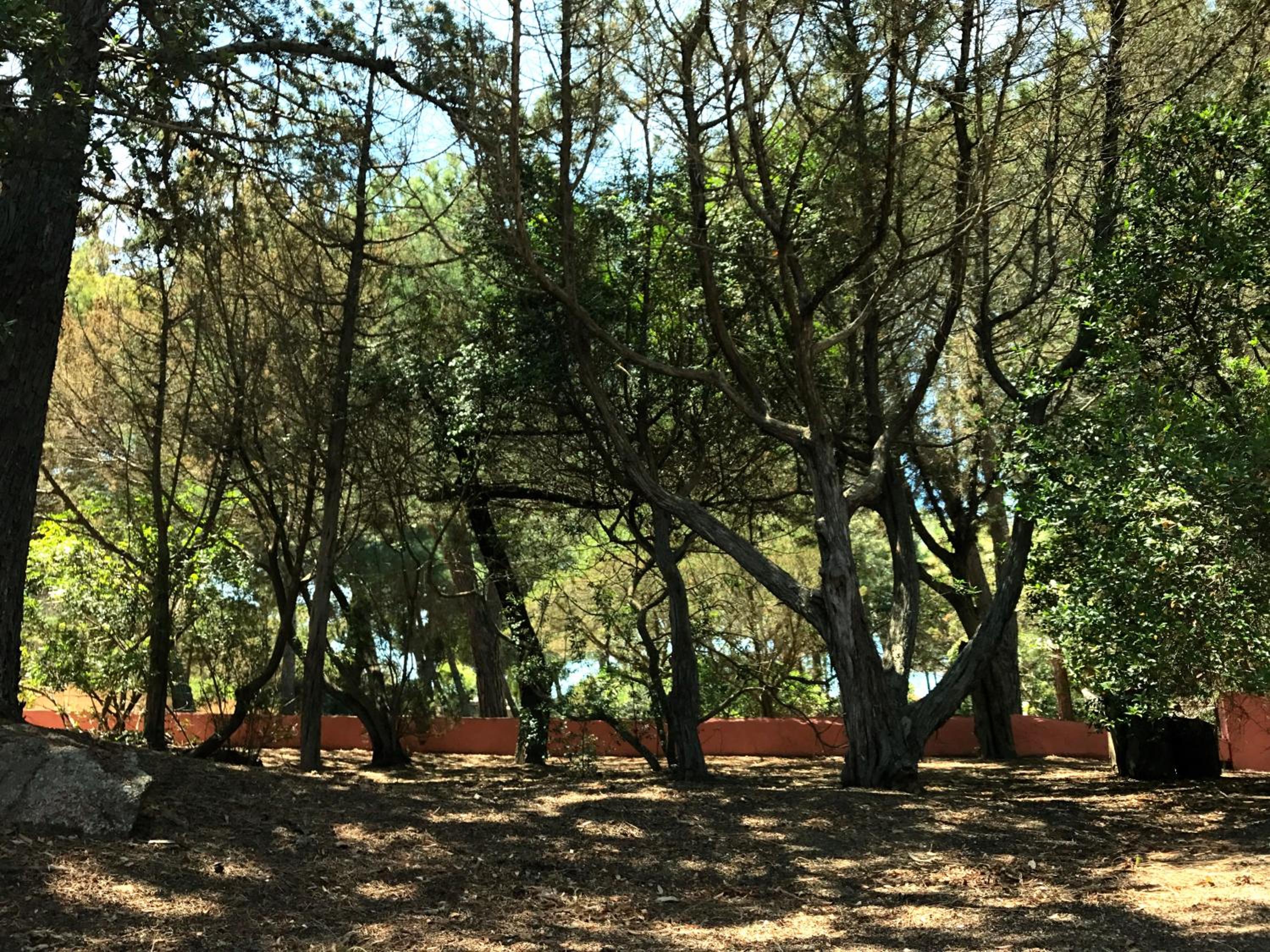 Villa Mica