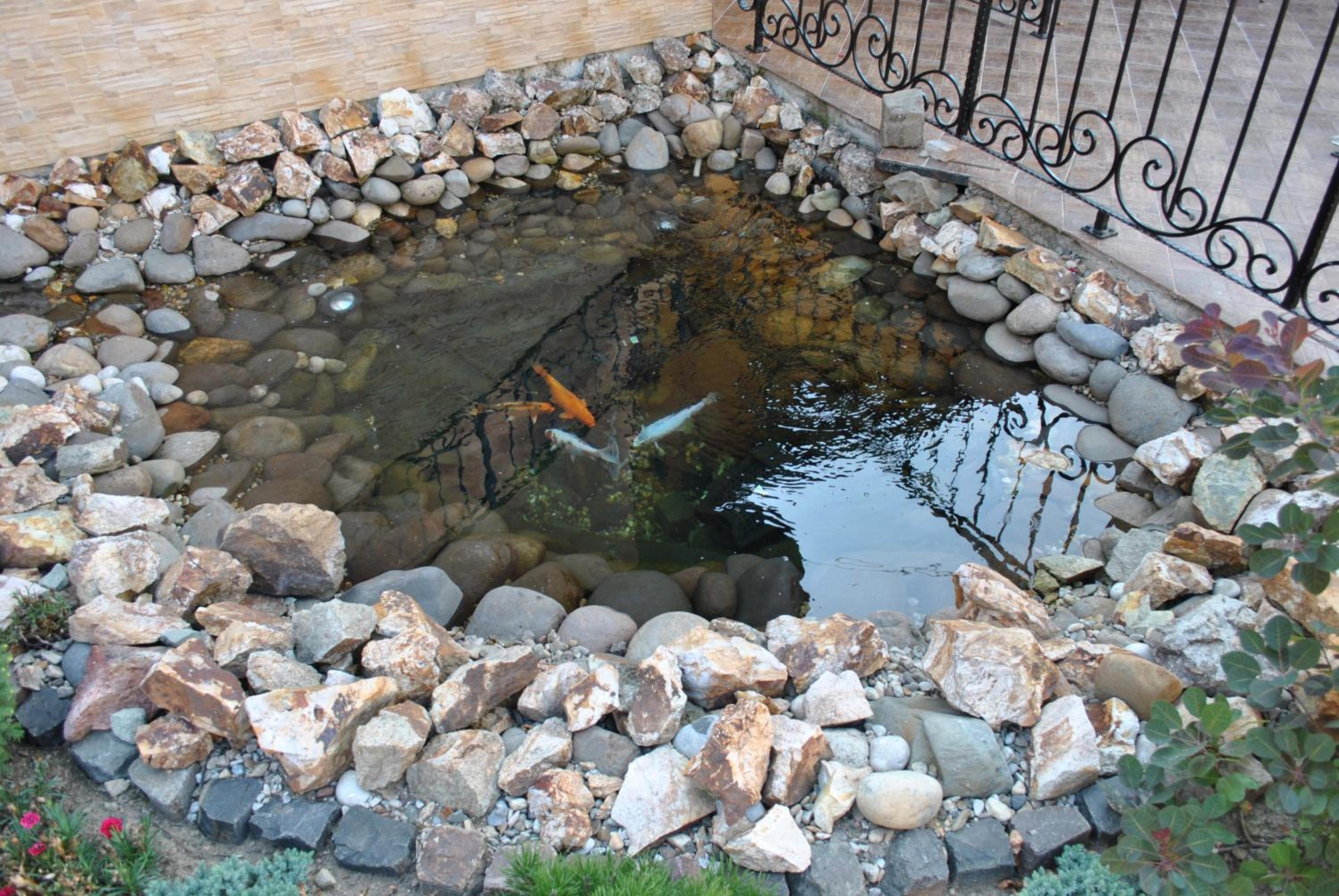 Photo 51