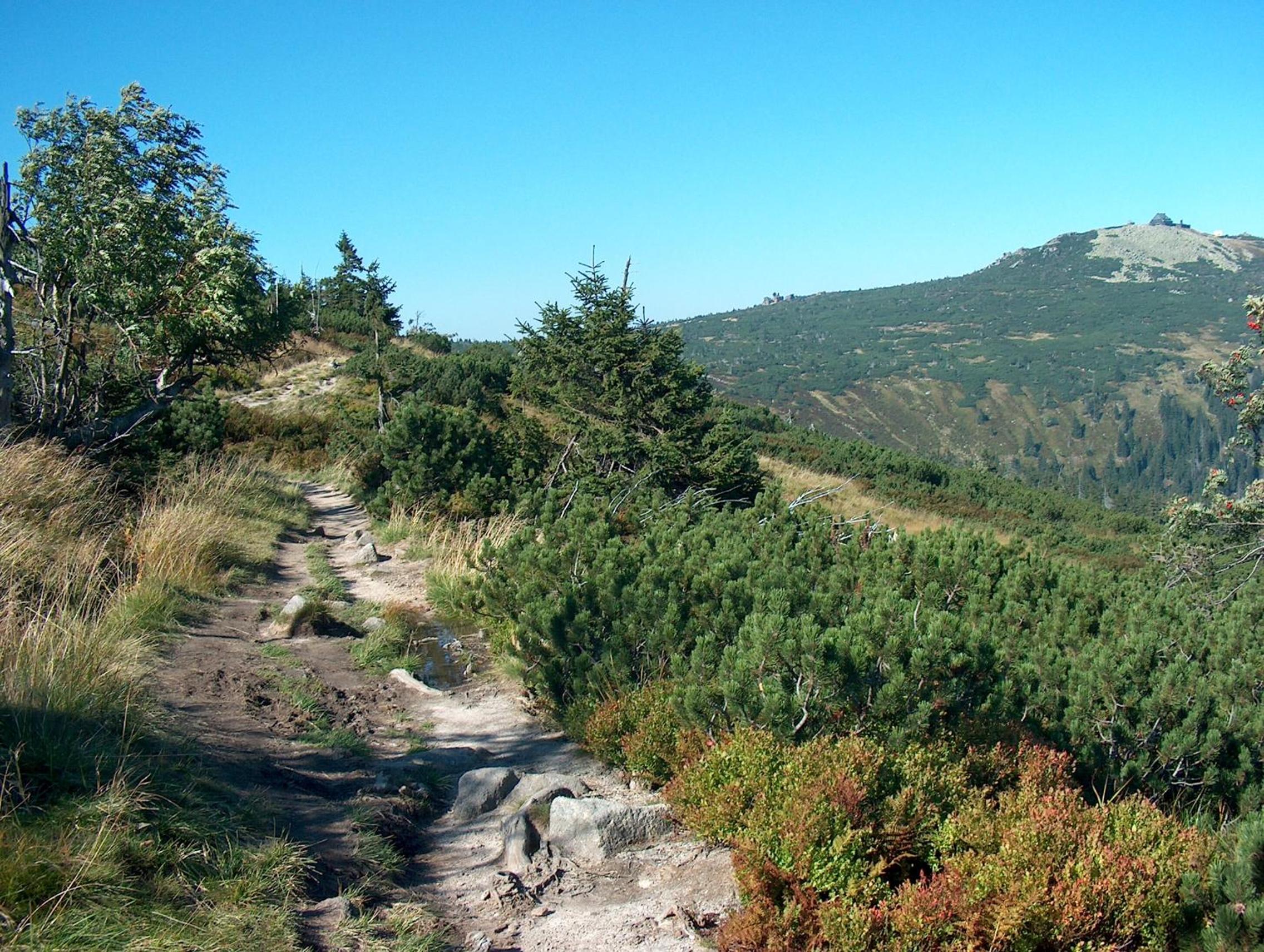 penzion Podlesí