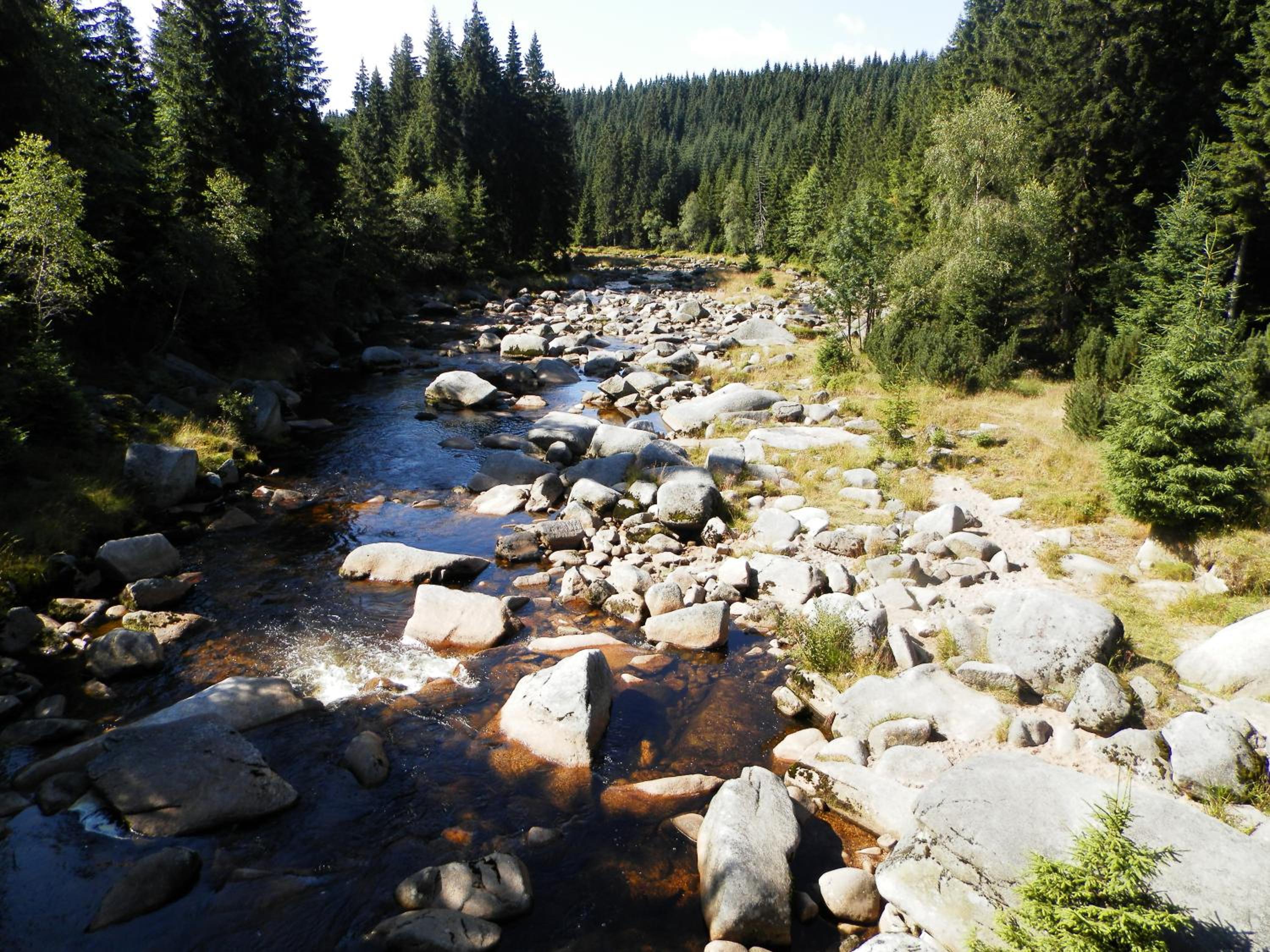 penzion Podlesí