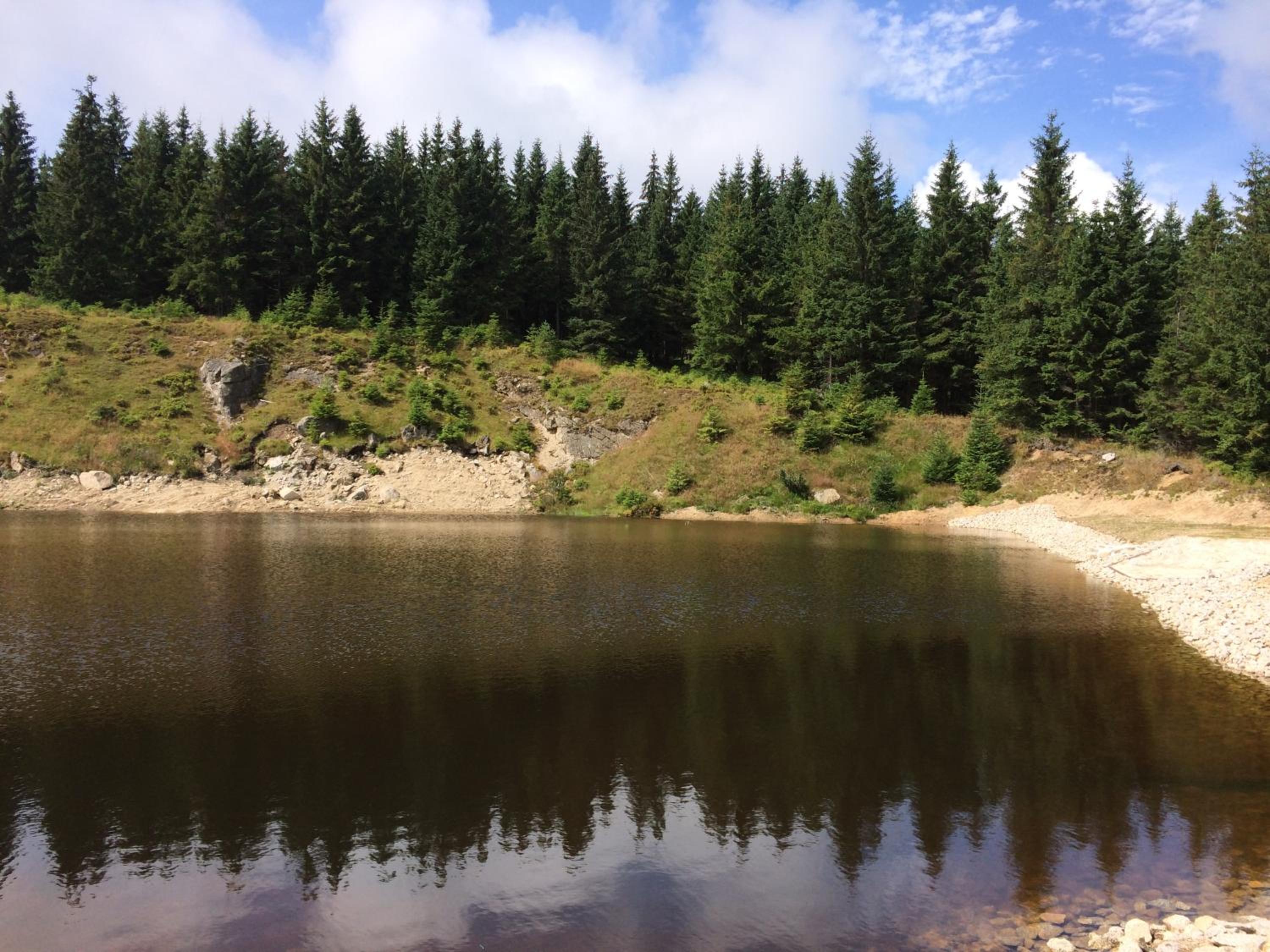 penzion Podlesí