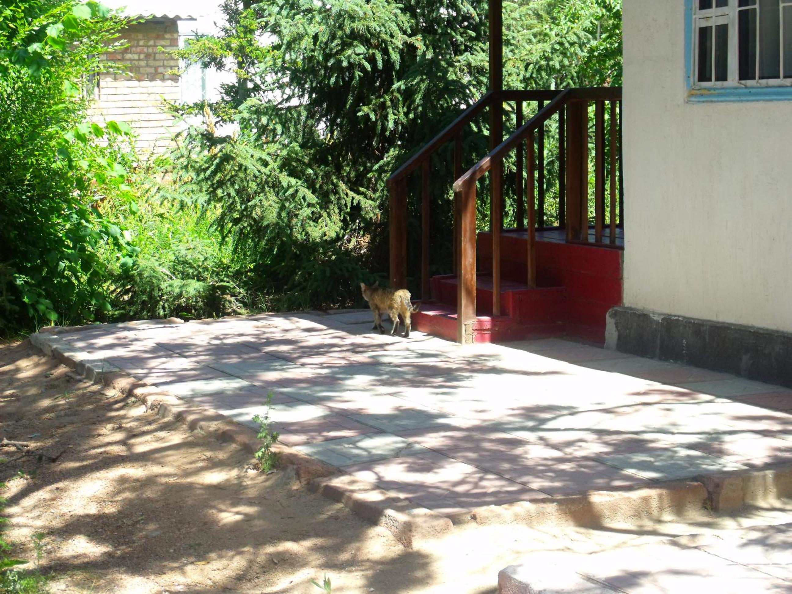 Legenda Health Resort