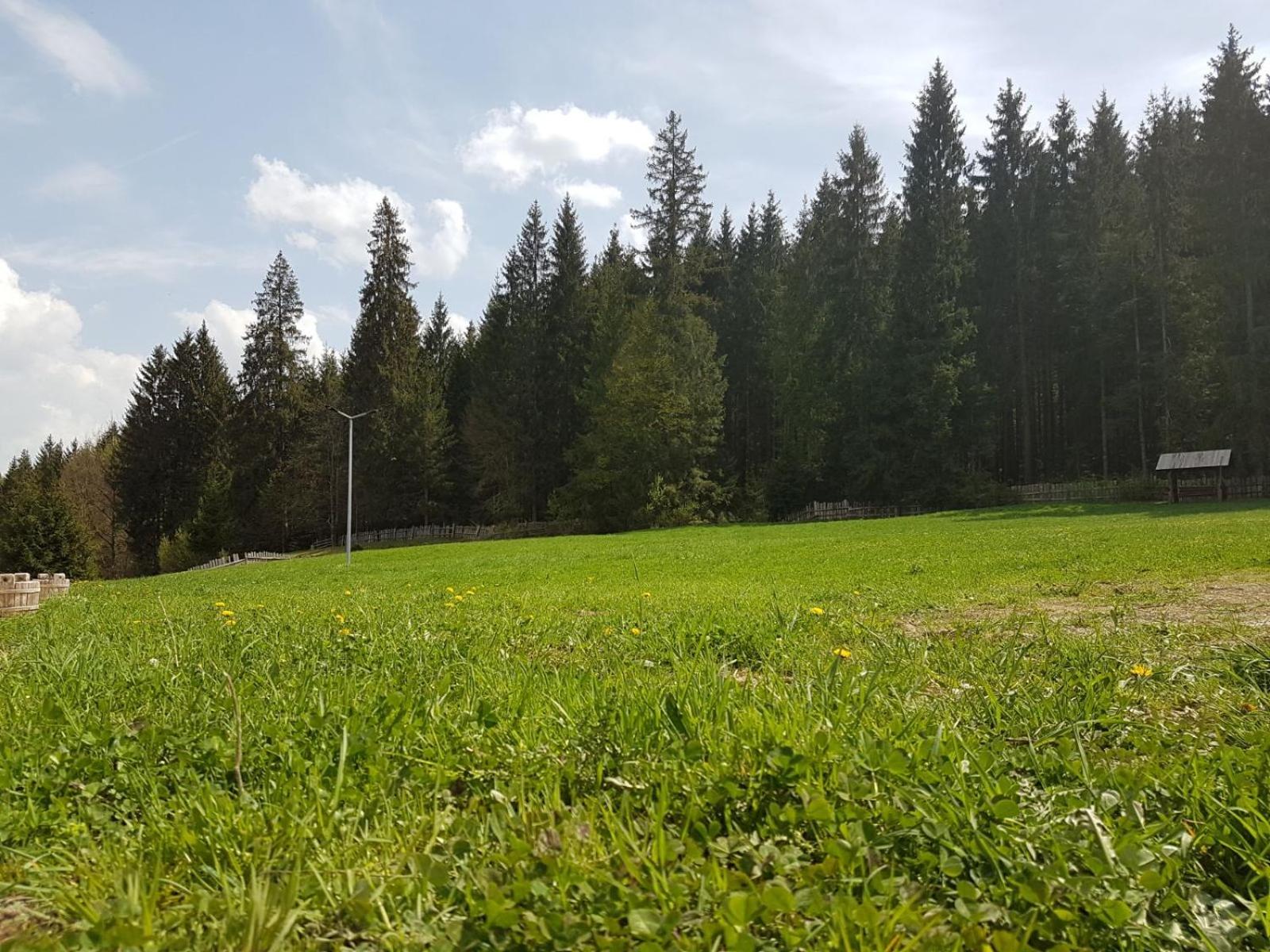 Pensiunea Maria-Bucovina