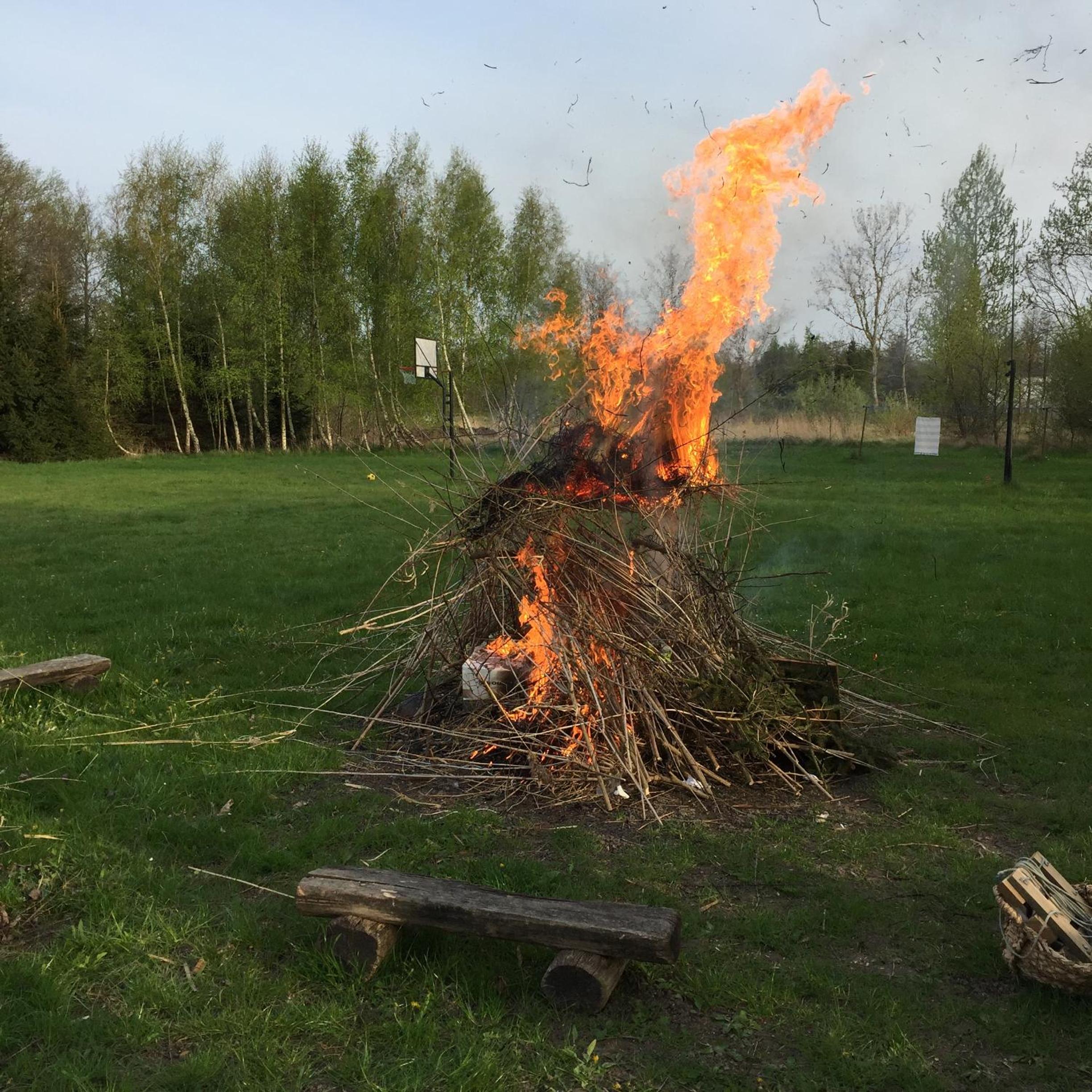 Photo 24