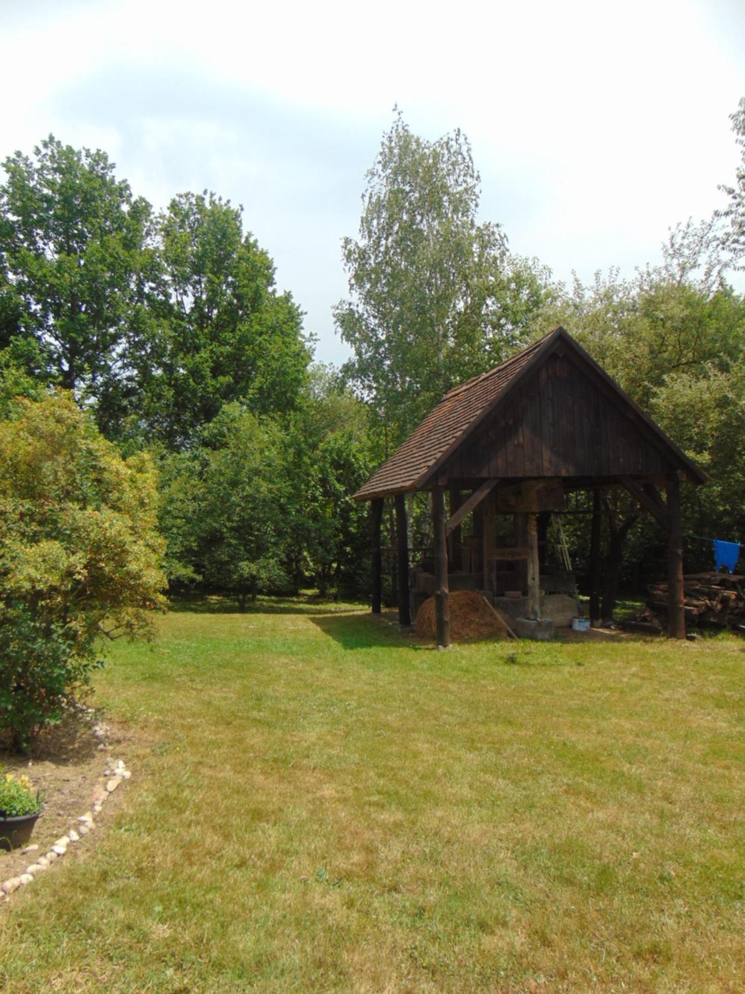Photo 8