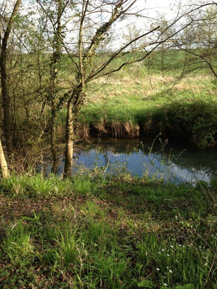 Photo 39