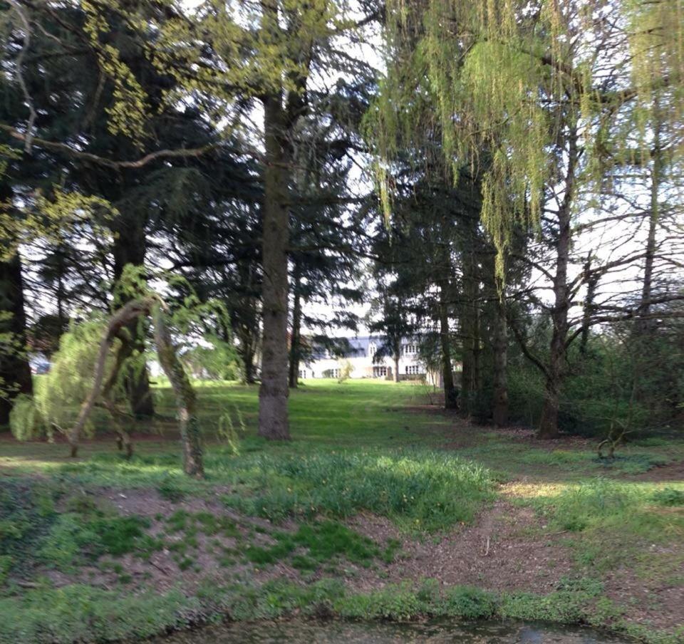 Photo 41