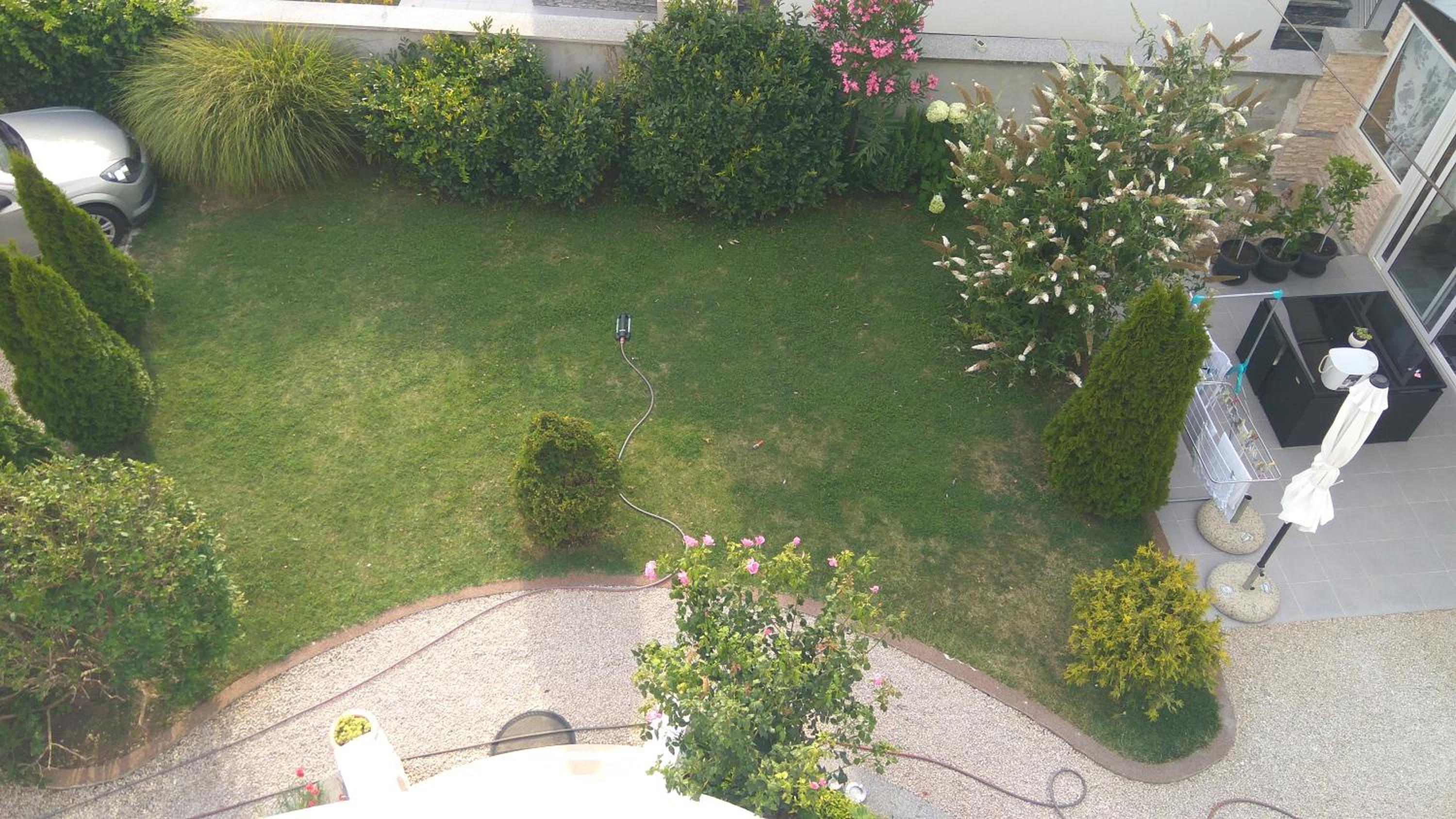 Photo 42
