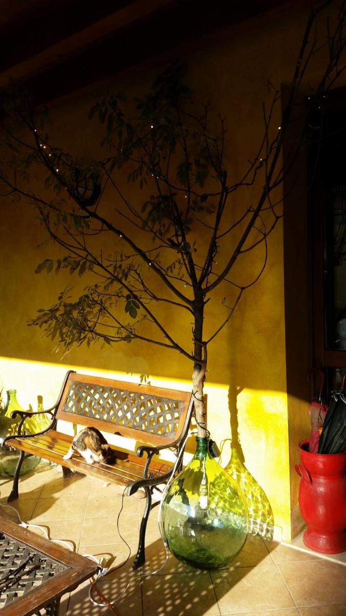 La cascina di Alice photo 5