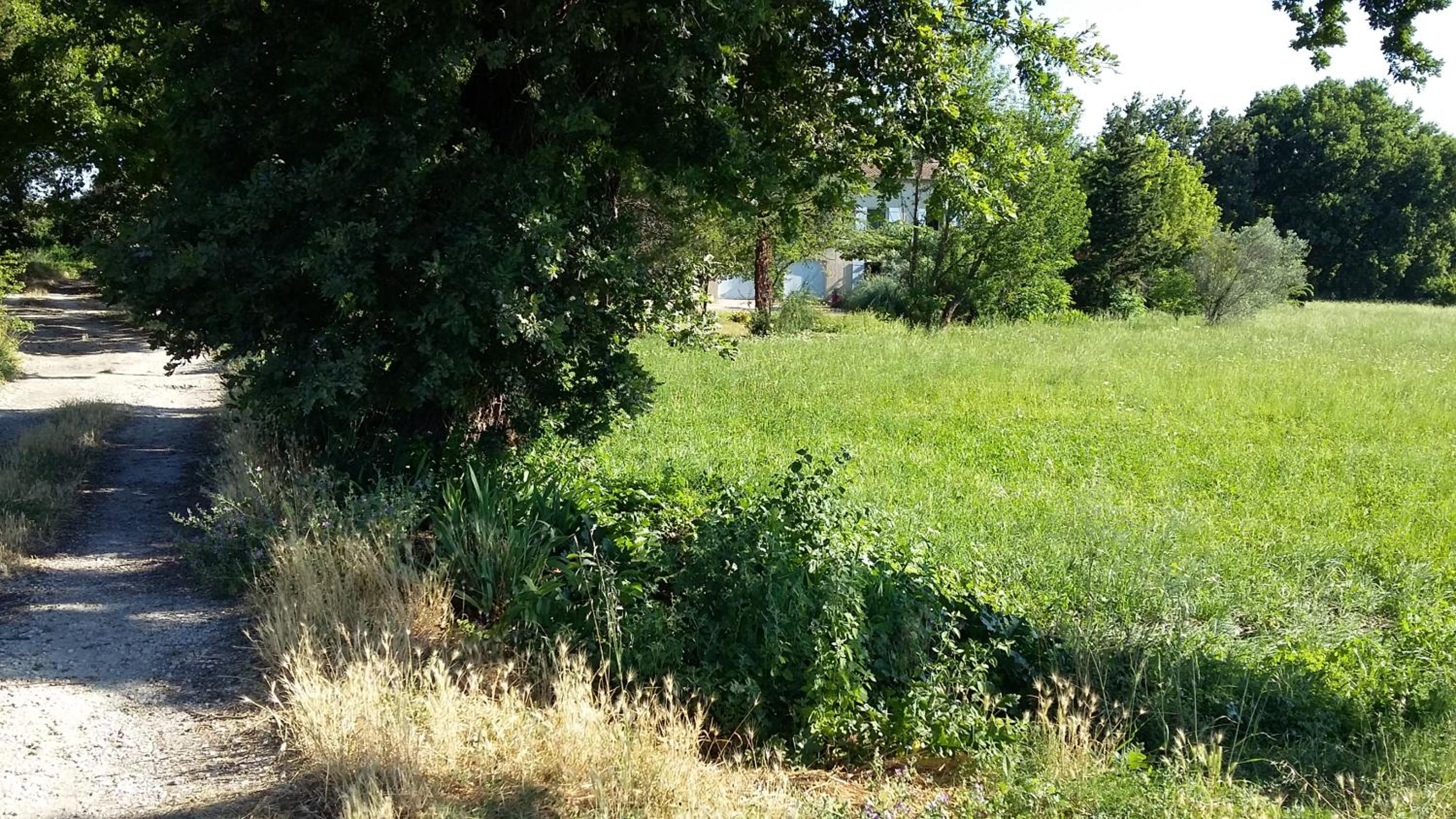 Photo 29