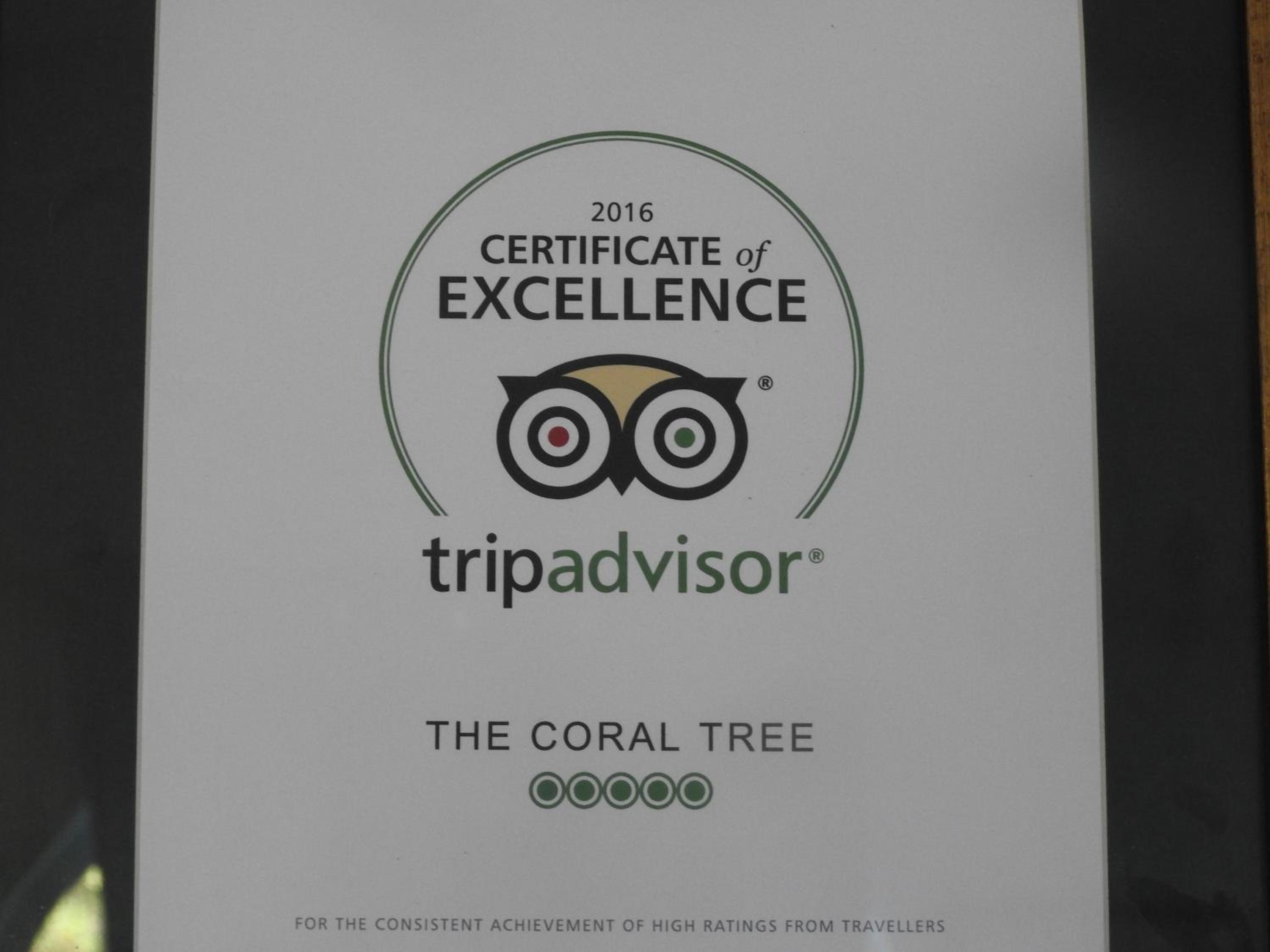 The Coral Tree Boutique Homestay