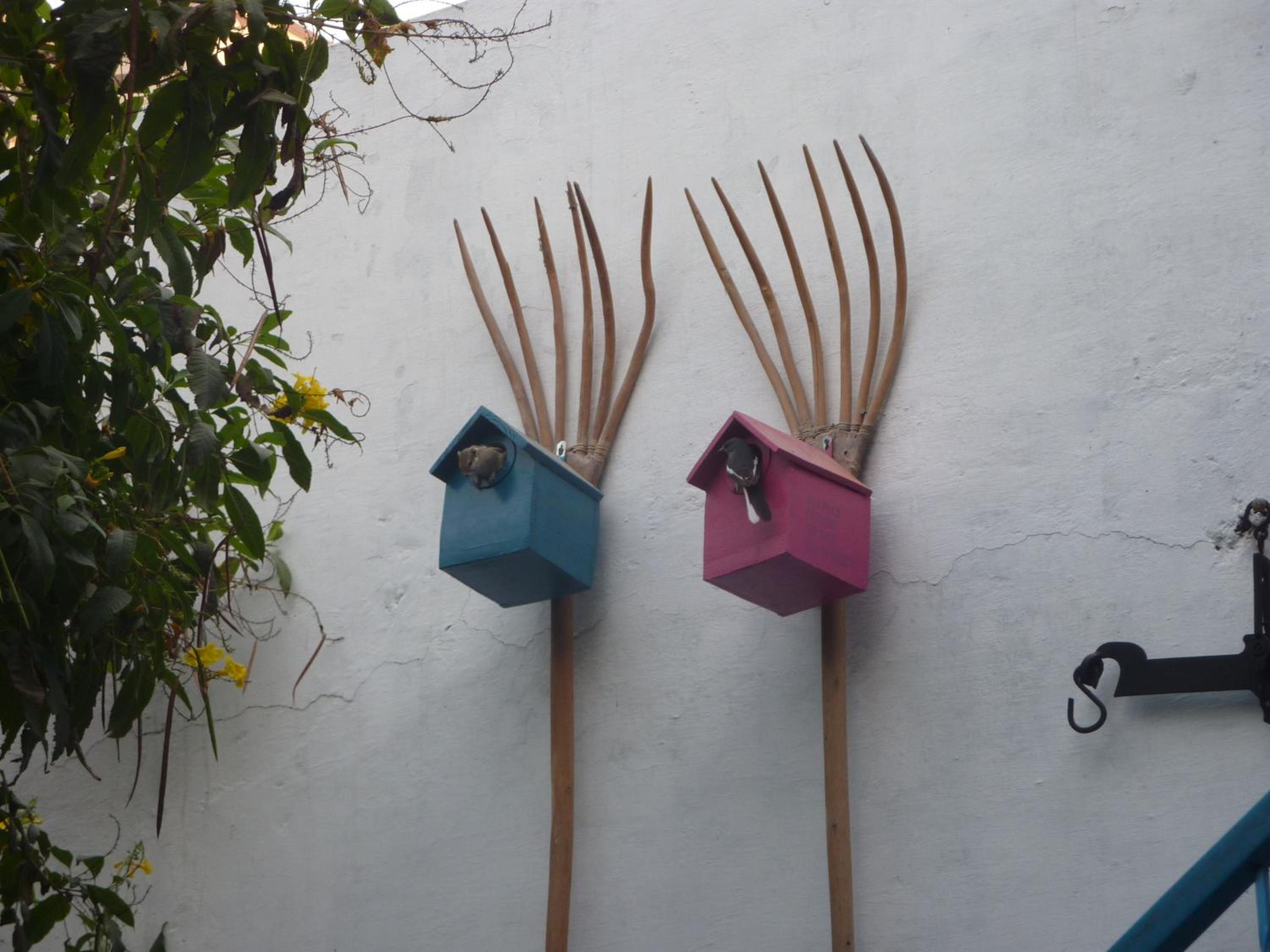 The Coral Tree Boutique Homestay