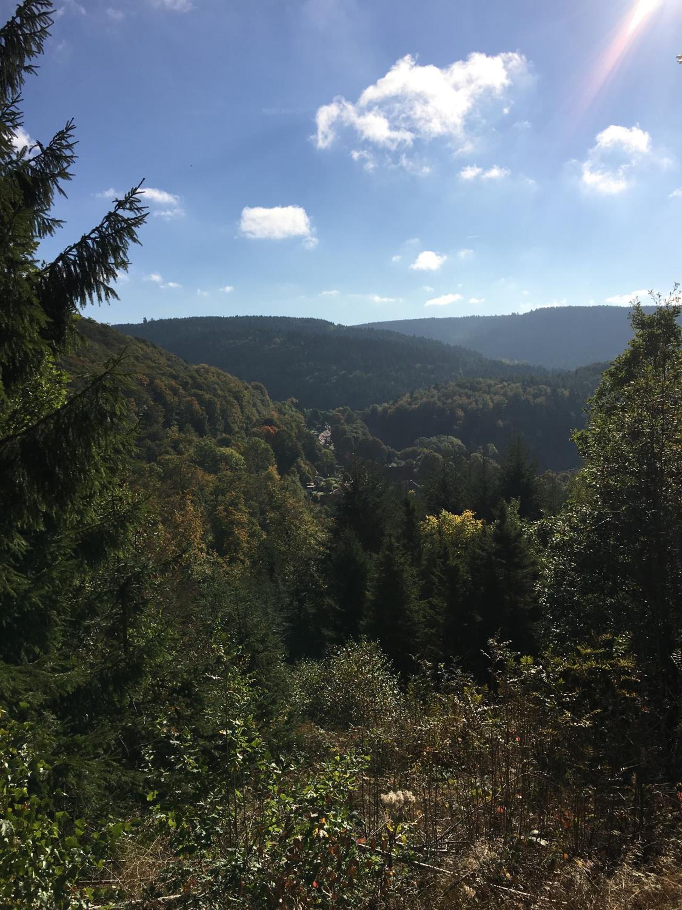 Villa Pusteblume
