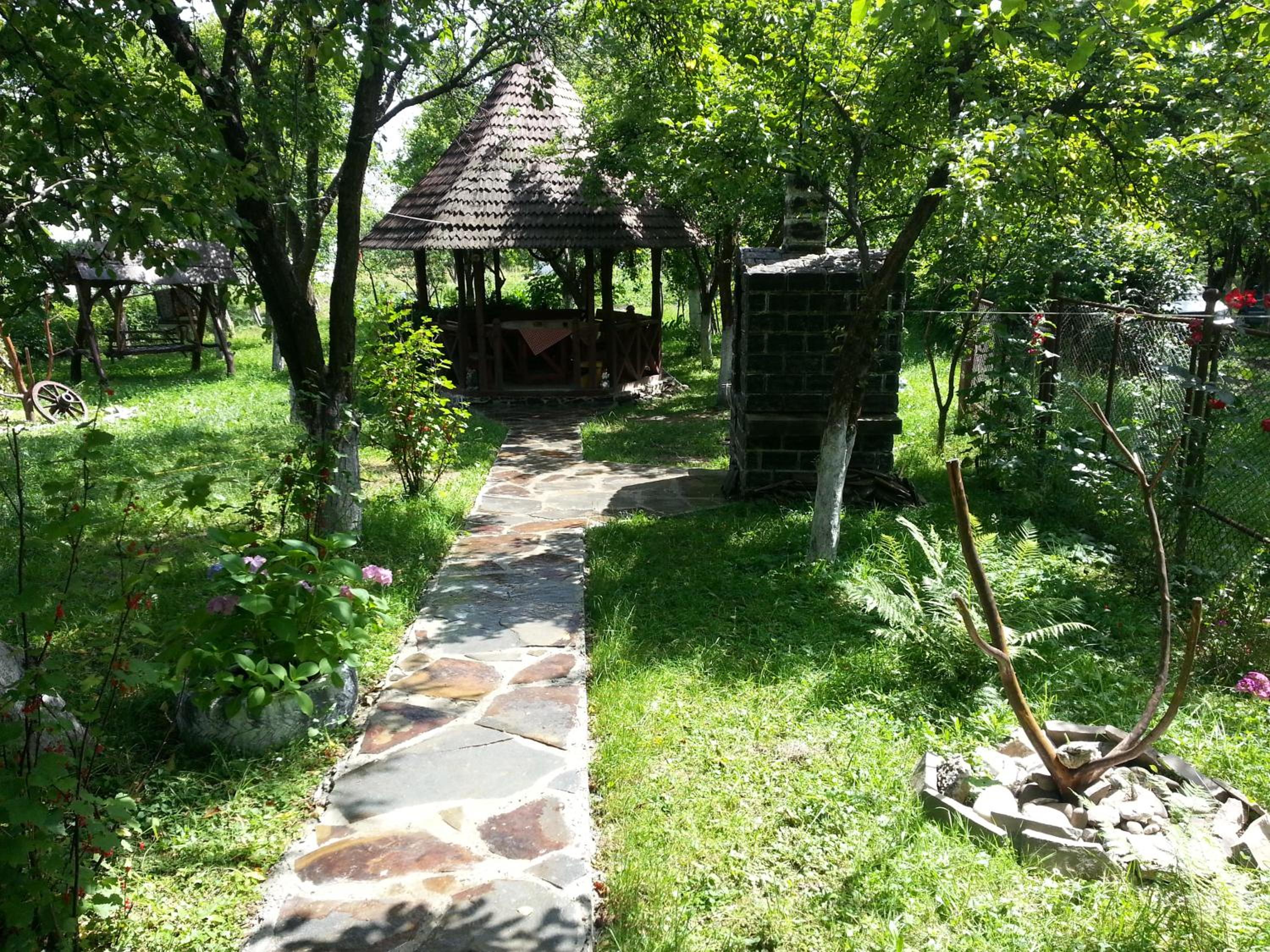 Photo 7