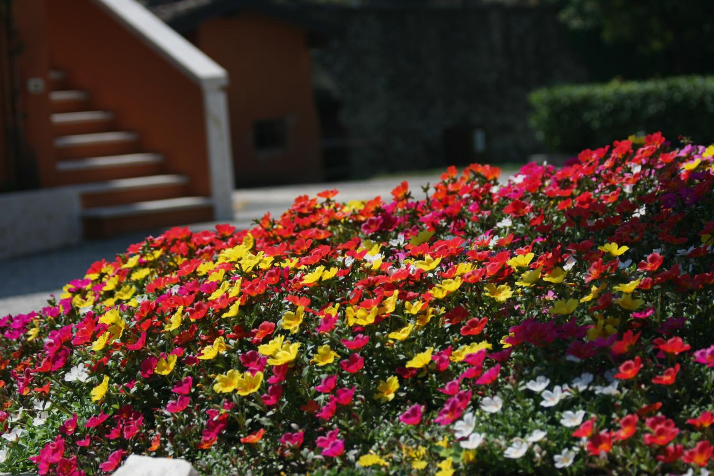 Agriturismo La Filanda