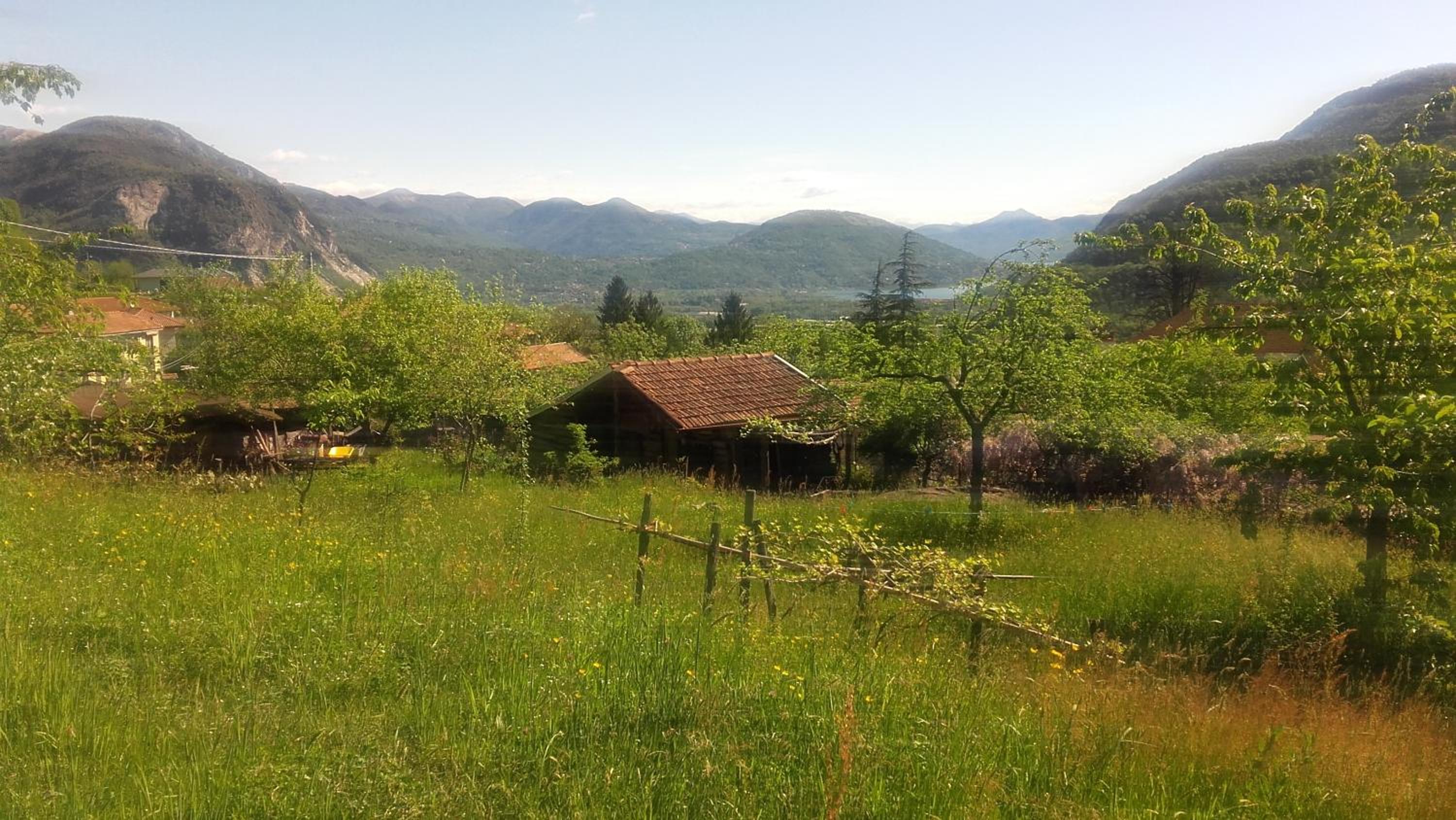 Photo 23