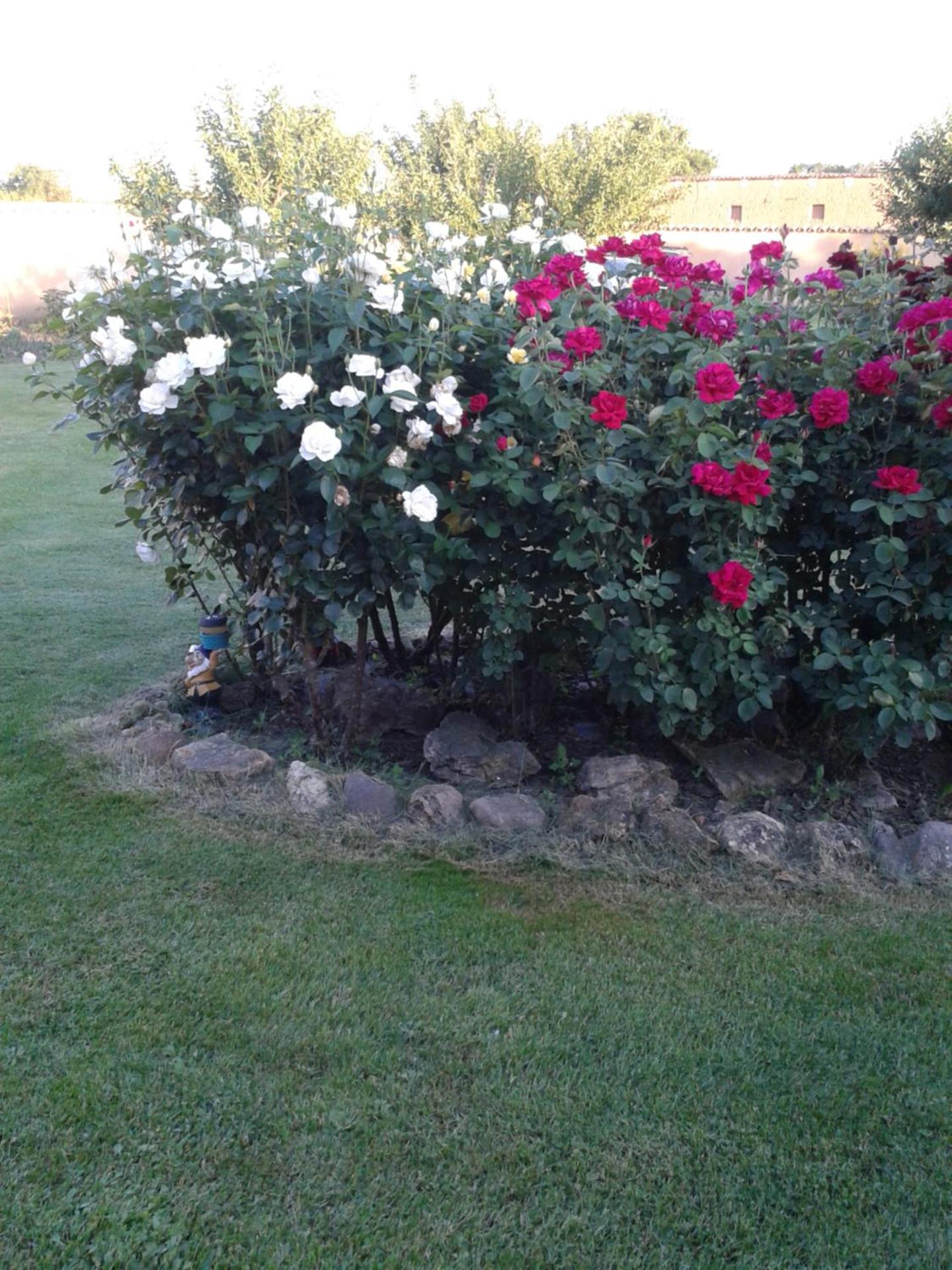 Photo 37