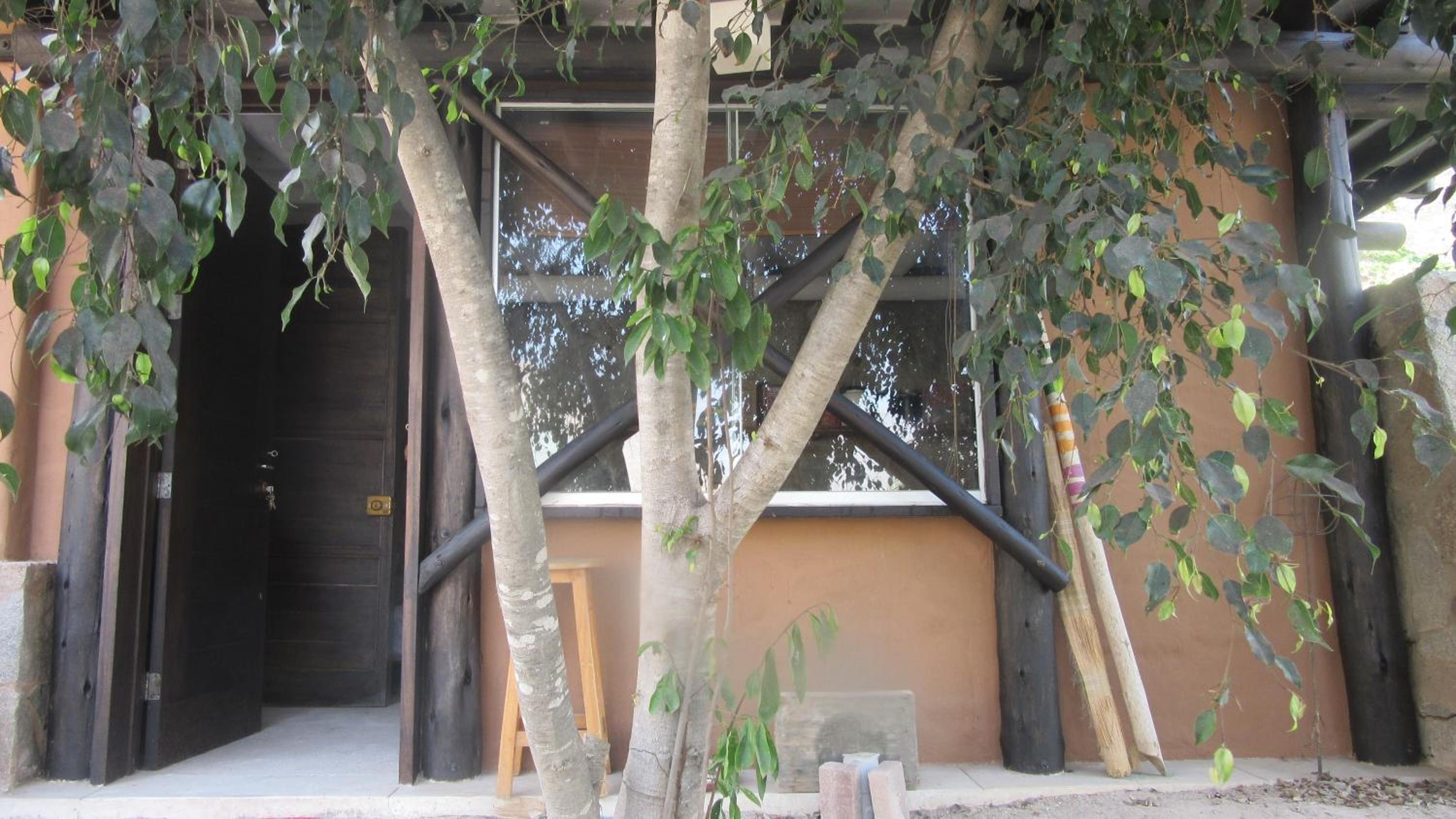 Photo 27