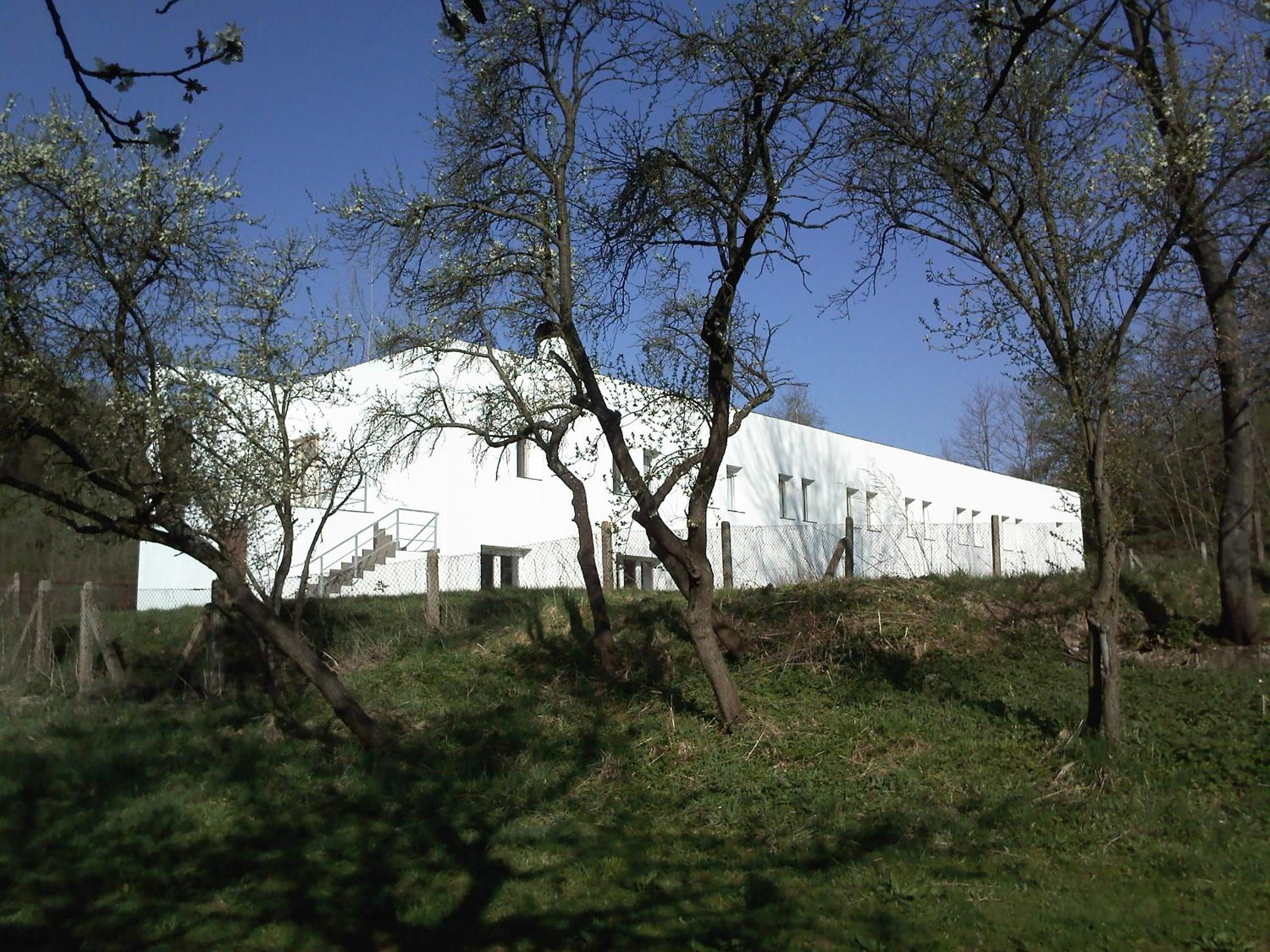 Photo 23