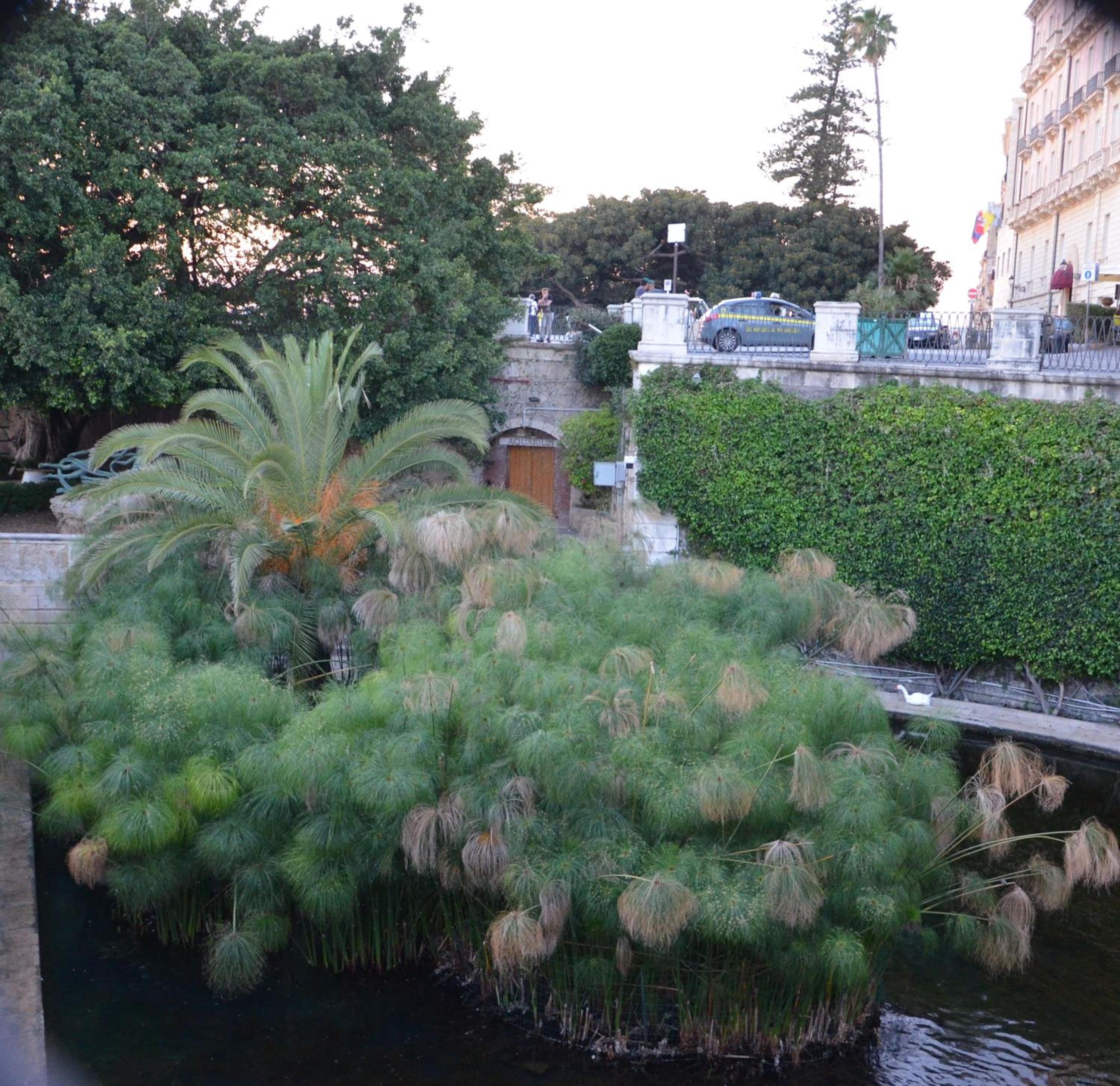 Photo 36