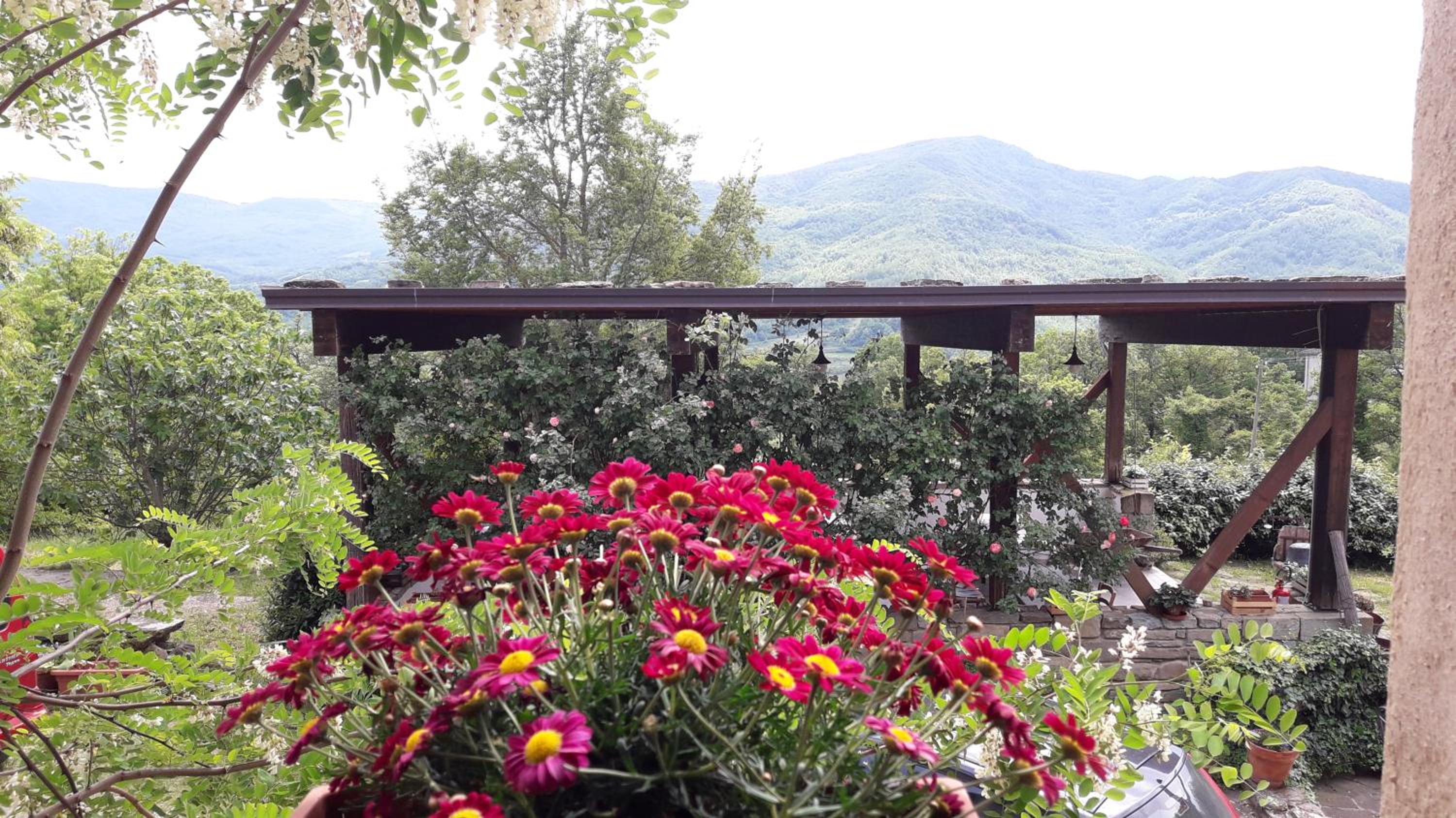 Ca' d'Alfieri, Fotografia 29