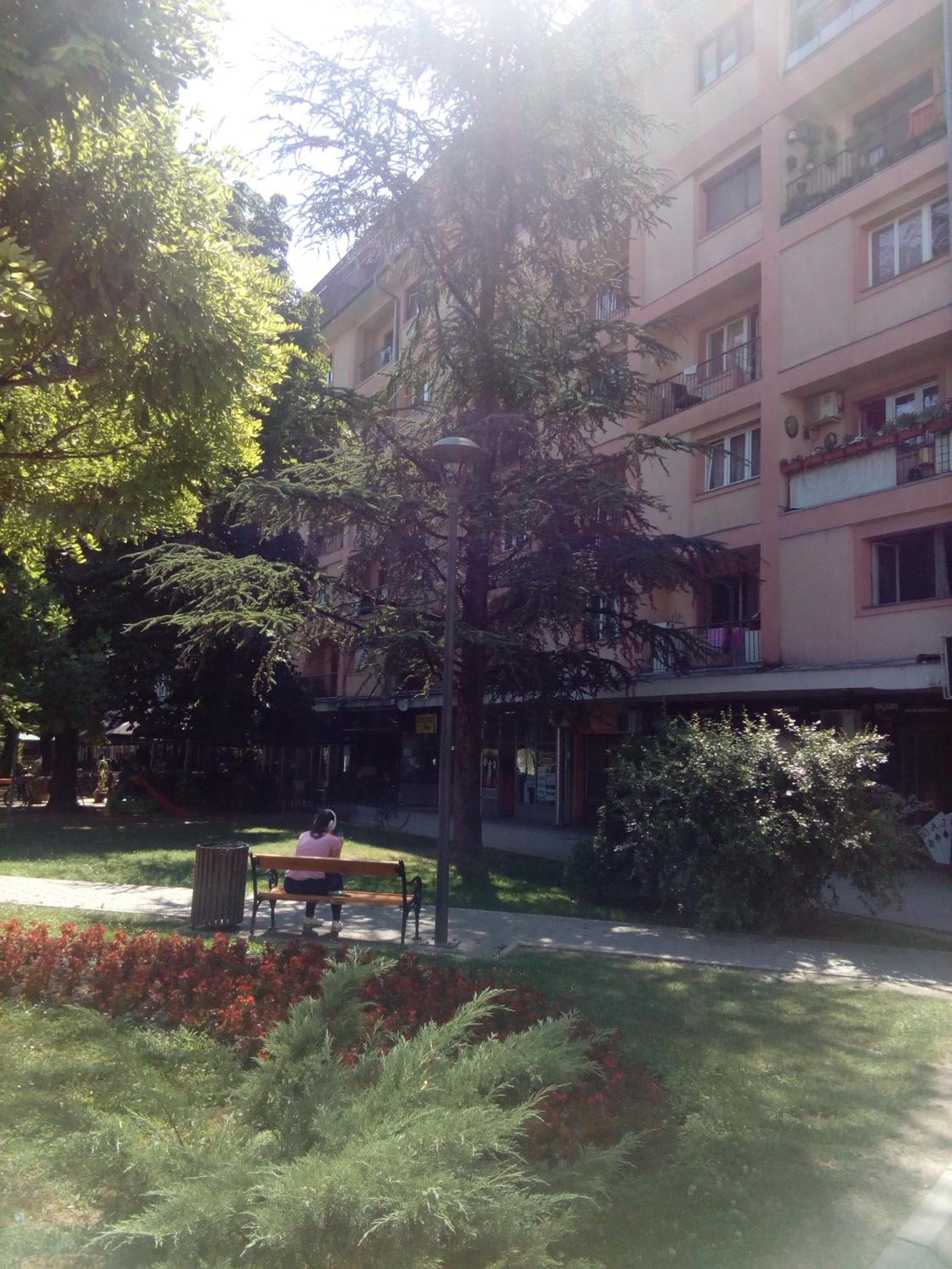 Photo 22