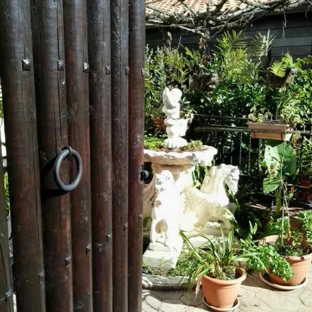 Photo 31