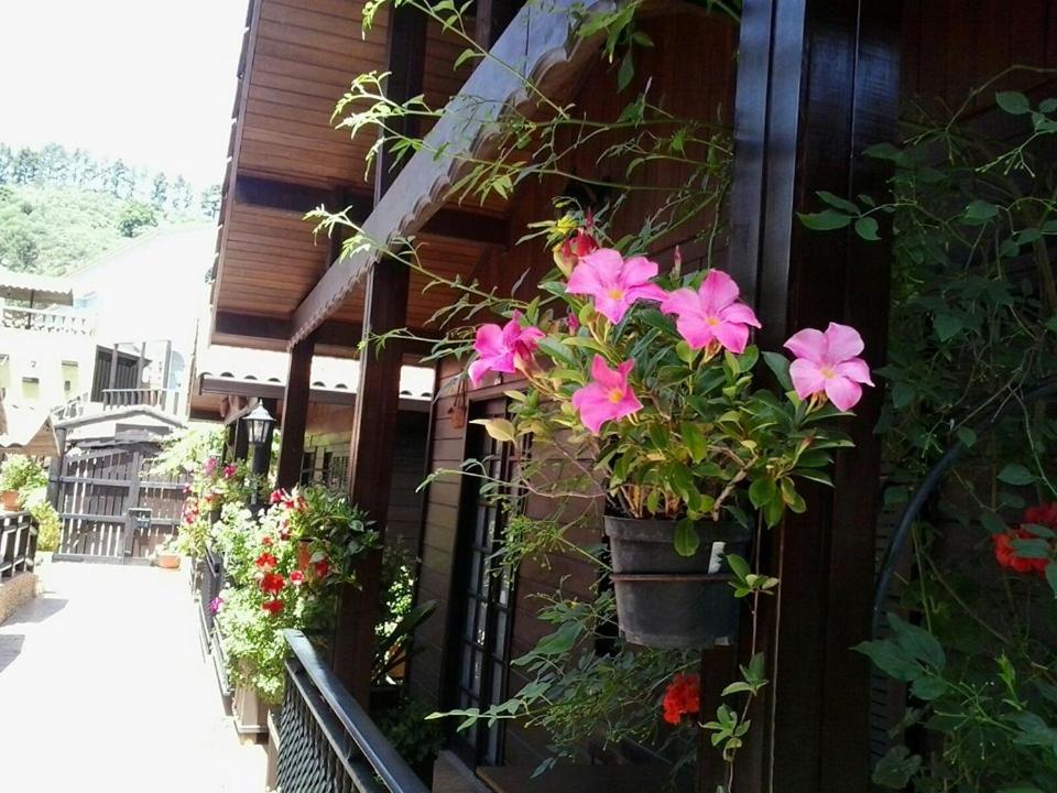 Photo 38