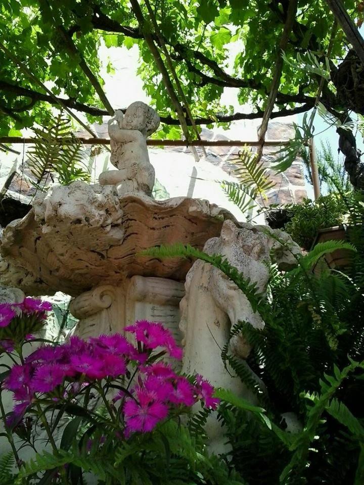 Photo 27