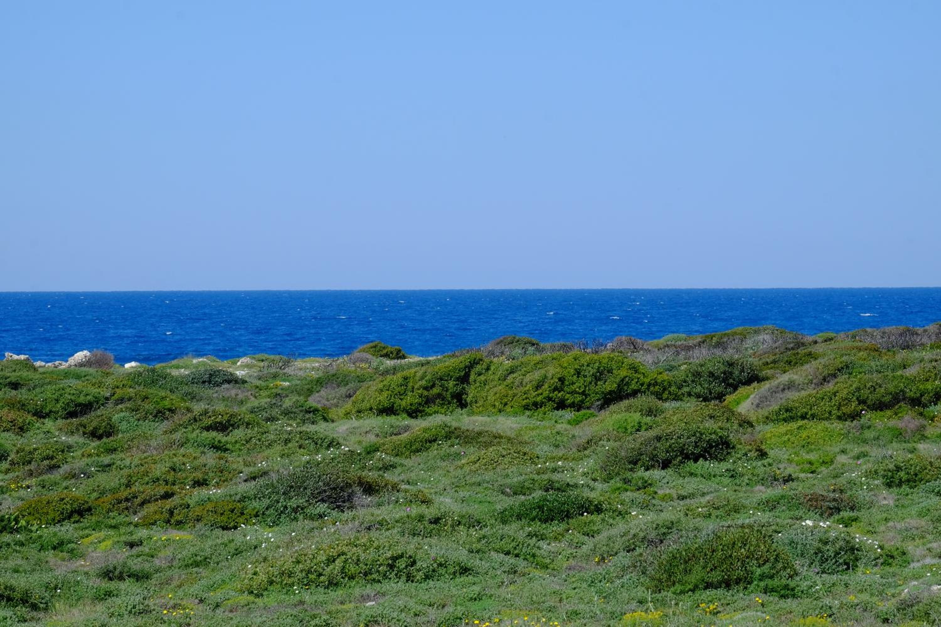 La Maison Blue a 100 mt dal mare - holiday2pet,com -