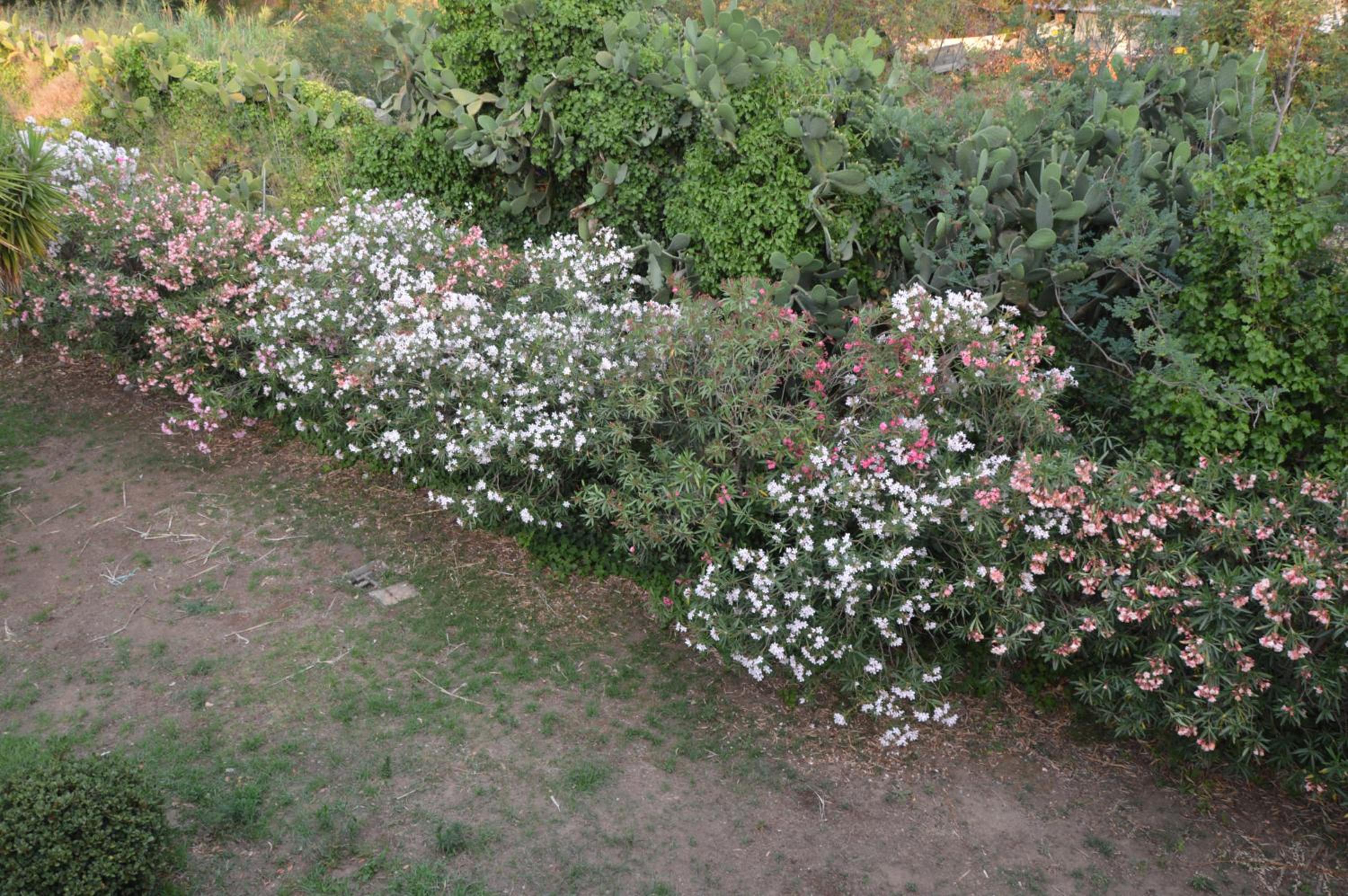 Photo 64
