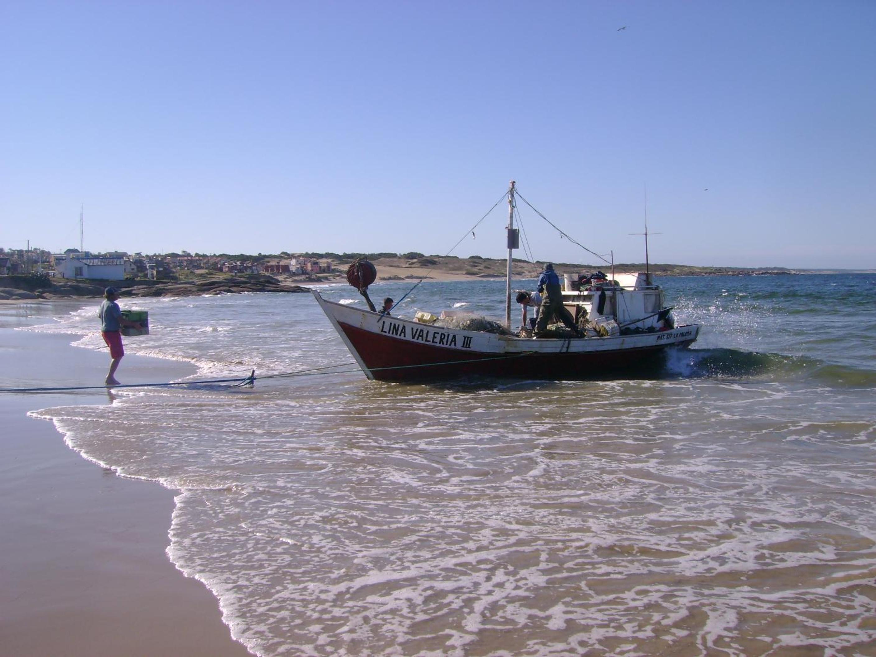 Photo 20