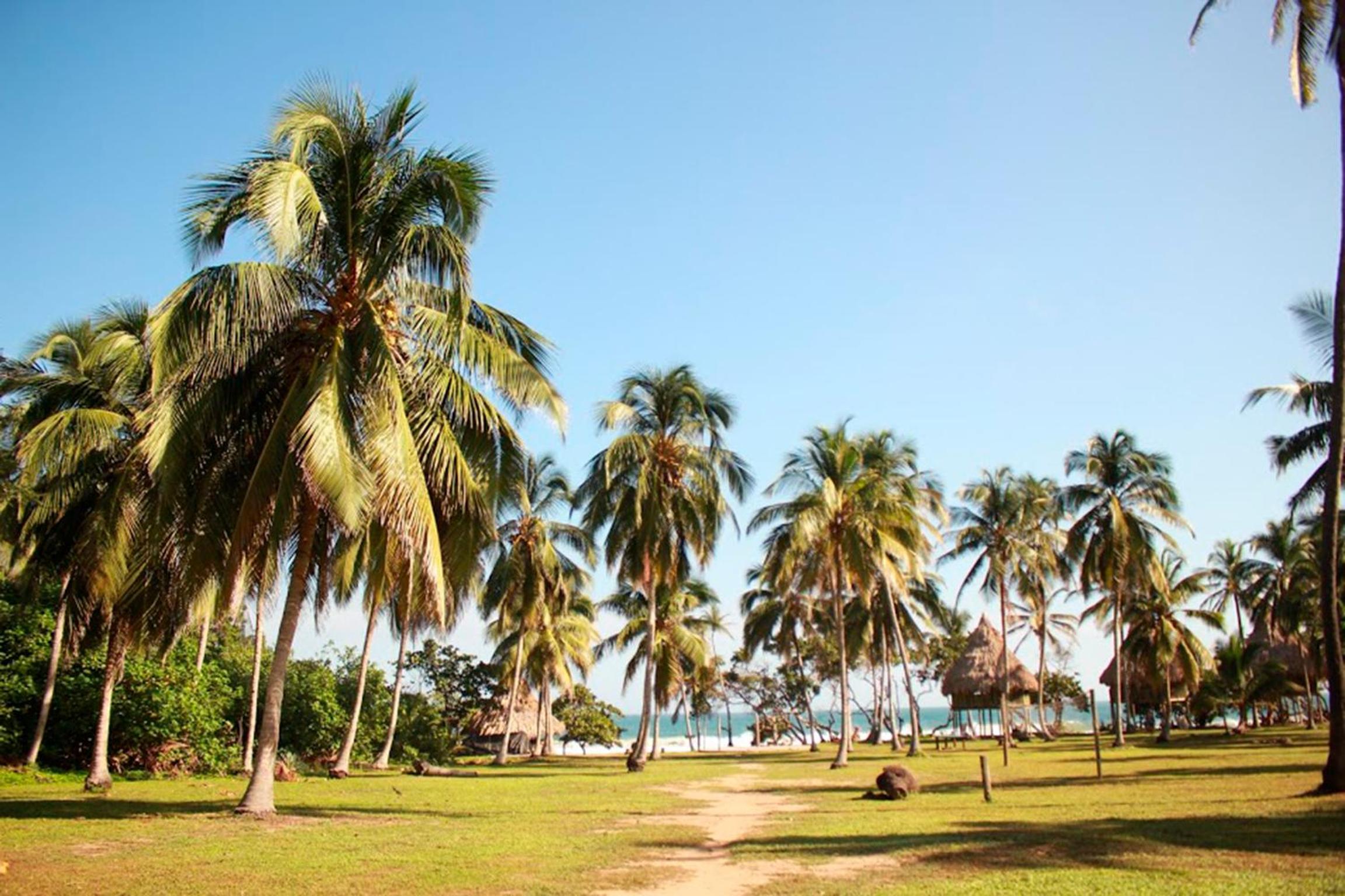 Ecolodge Playa Brava Teyumakke view 3