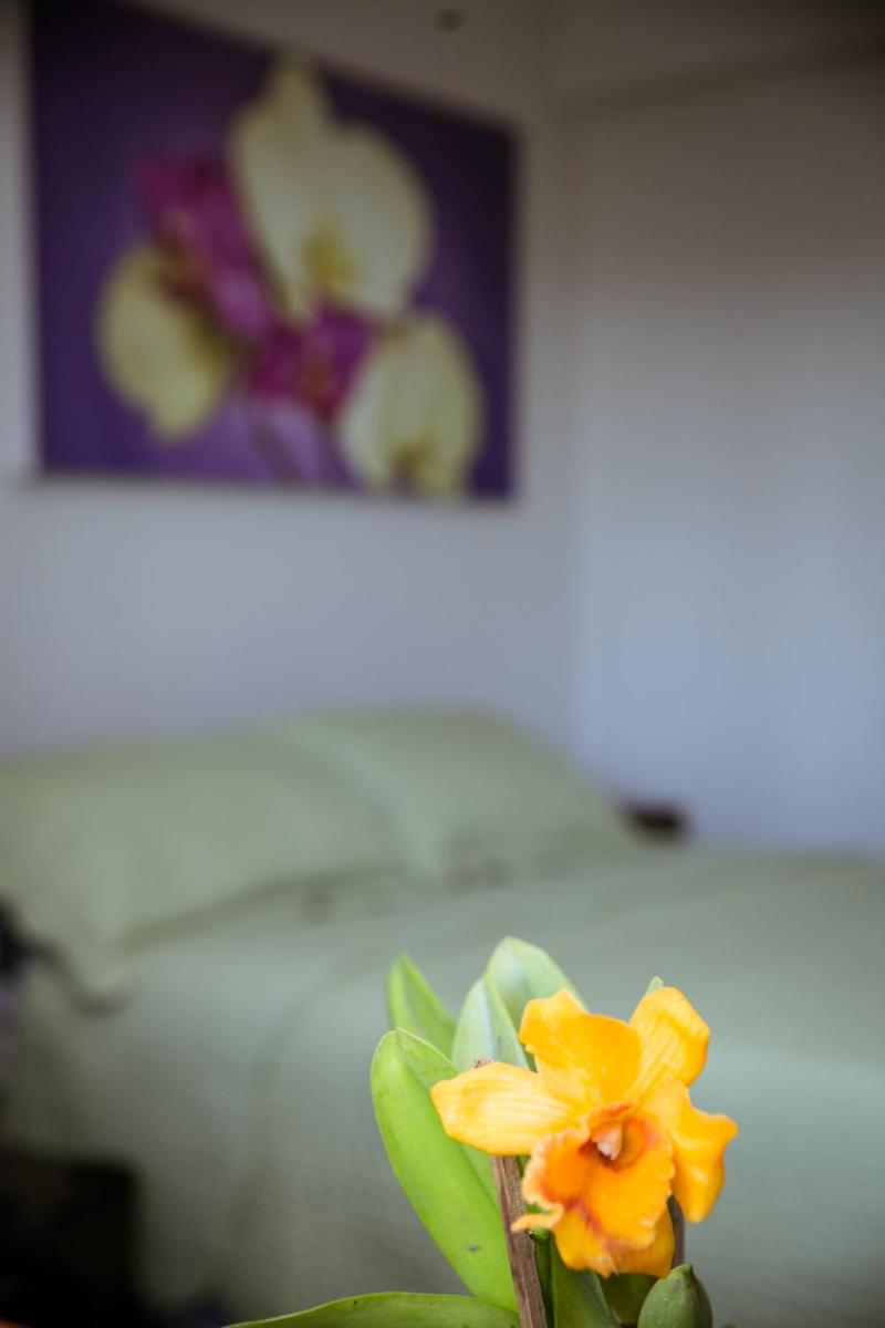 Orquídea Café