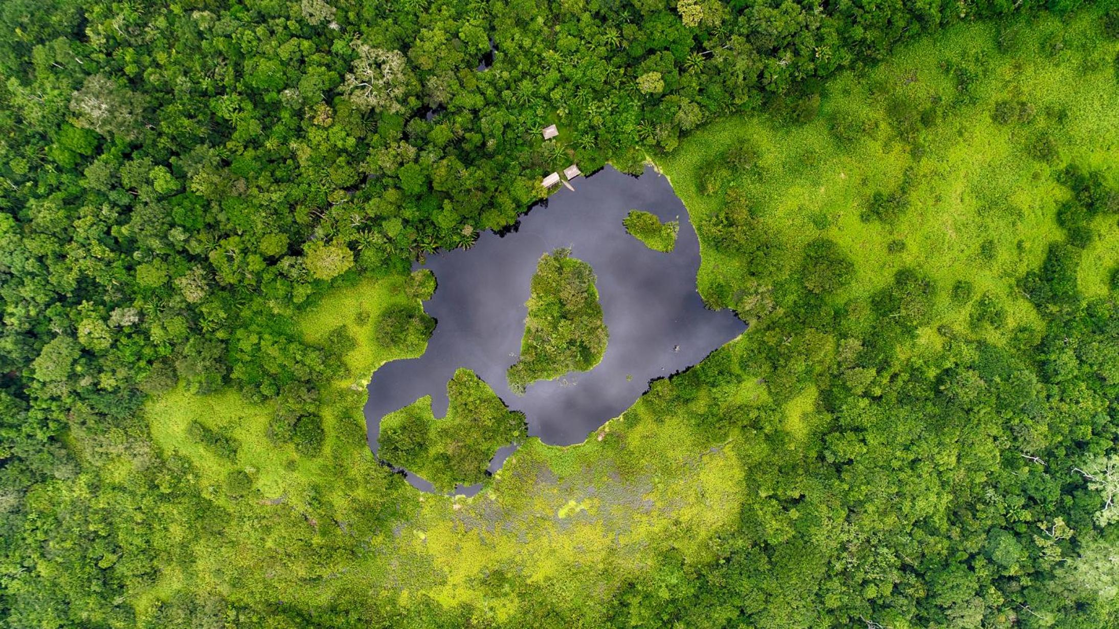 Ecoamazonia Lodge view 4