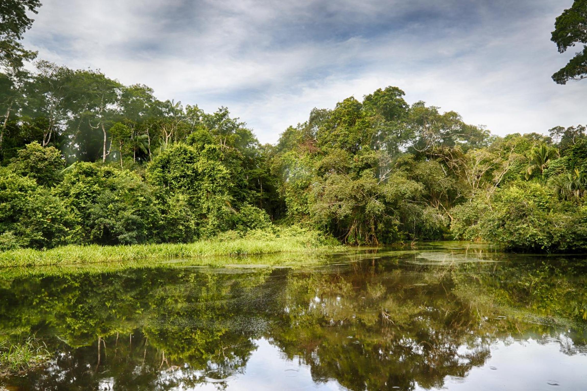 Ecoamazonia Lodge view 2