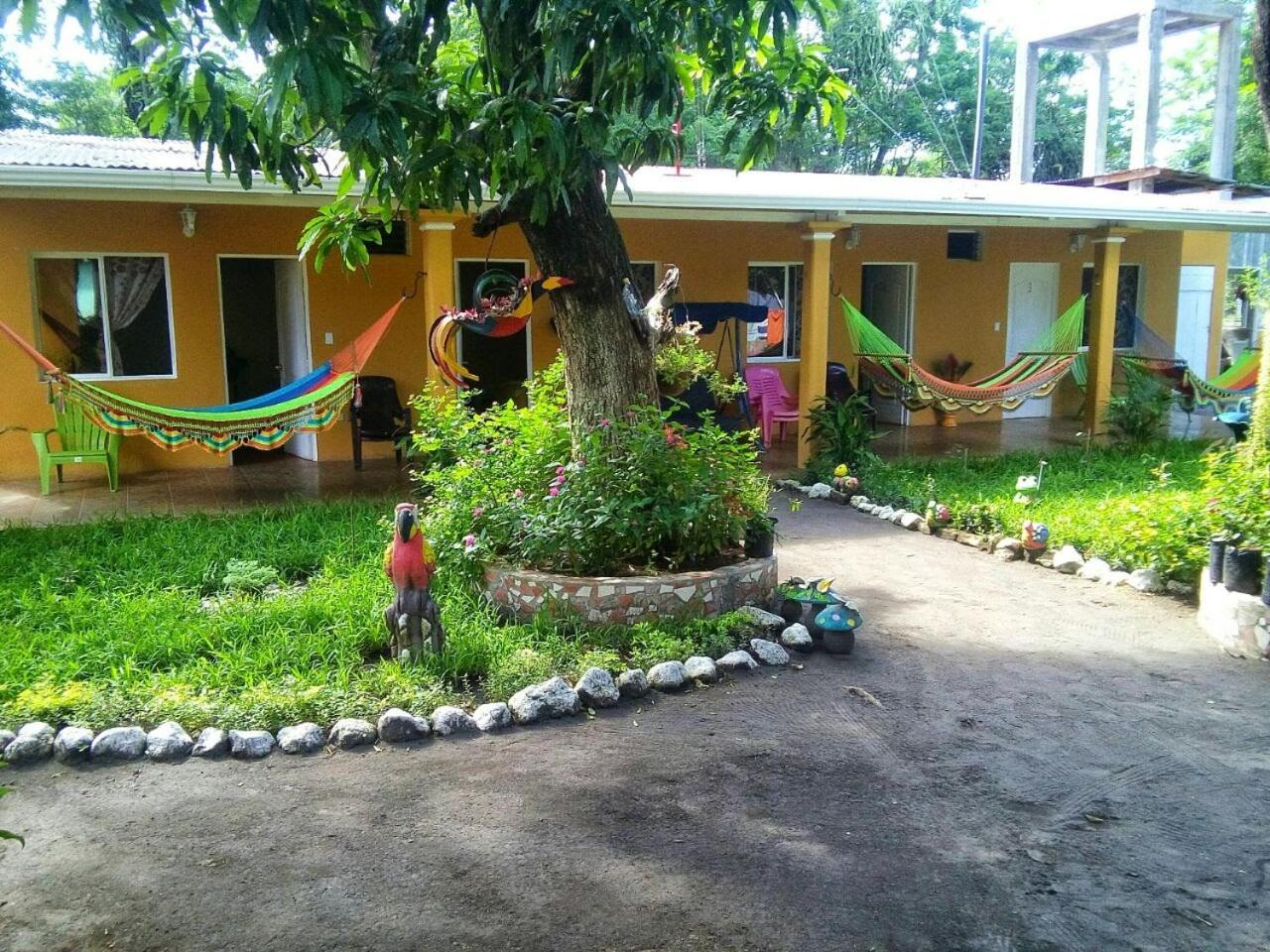Photo 21