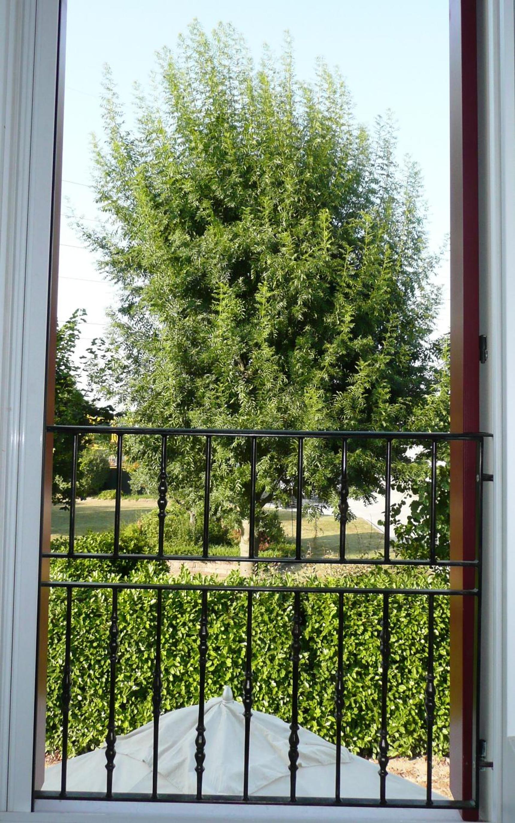 Photo 31