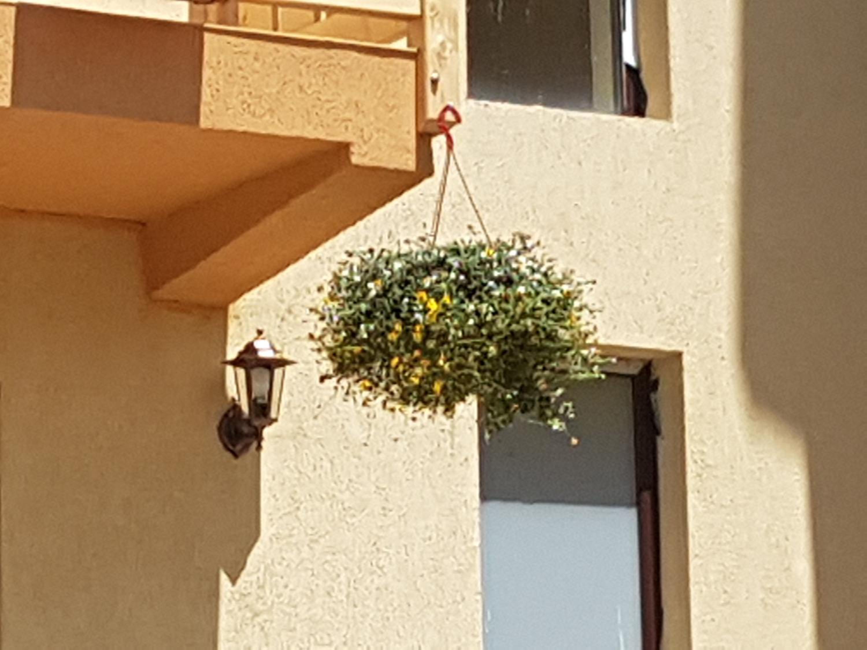 Casa Mon Reve