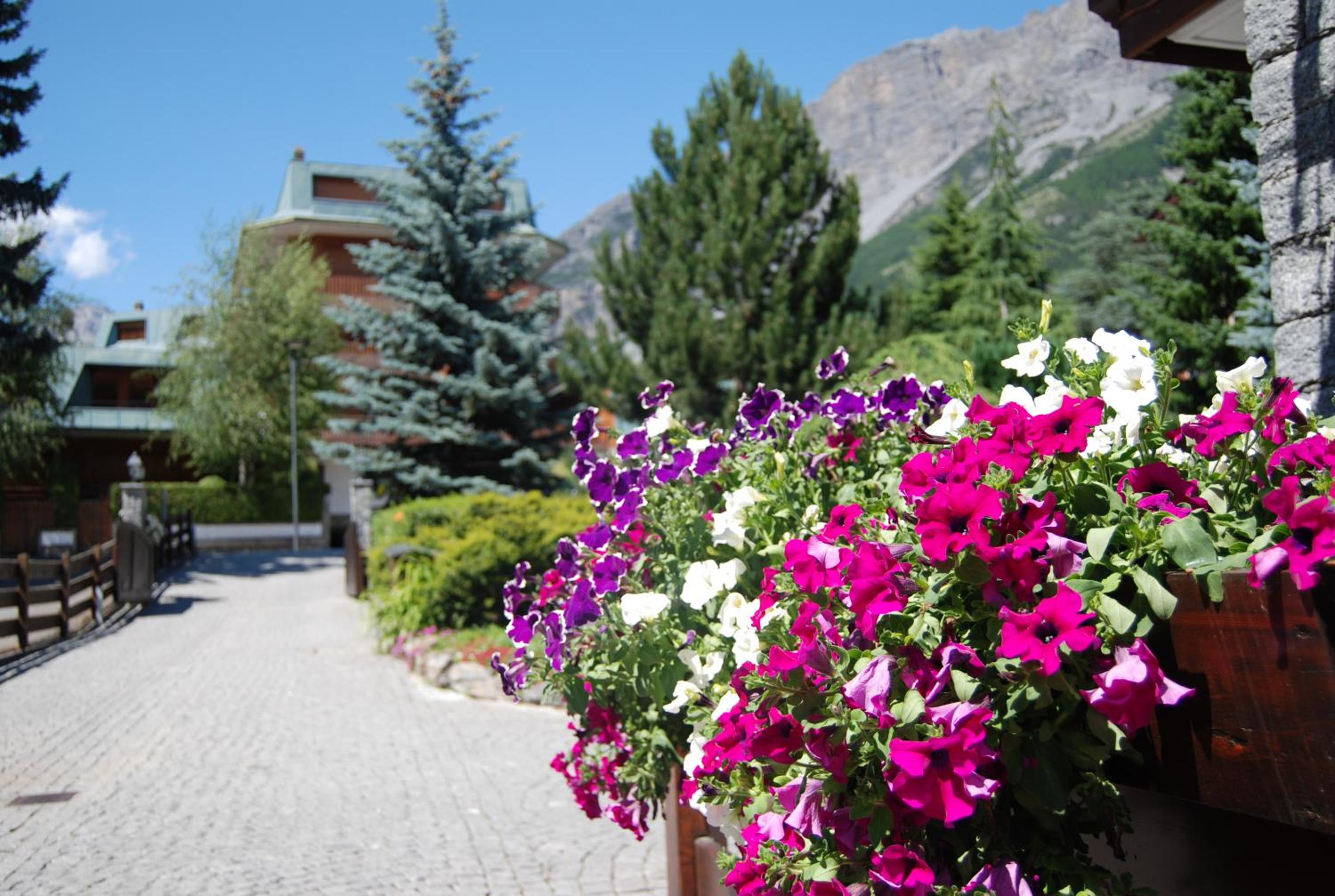 Chalet Gardenia