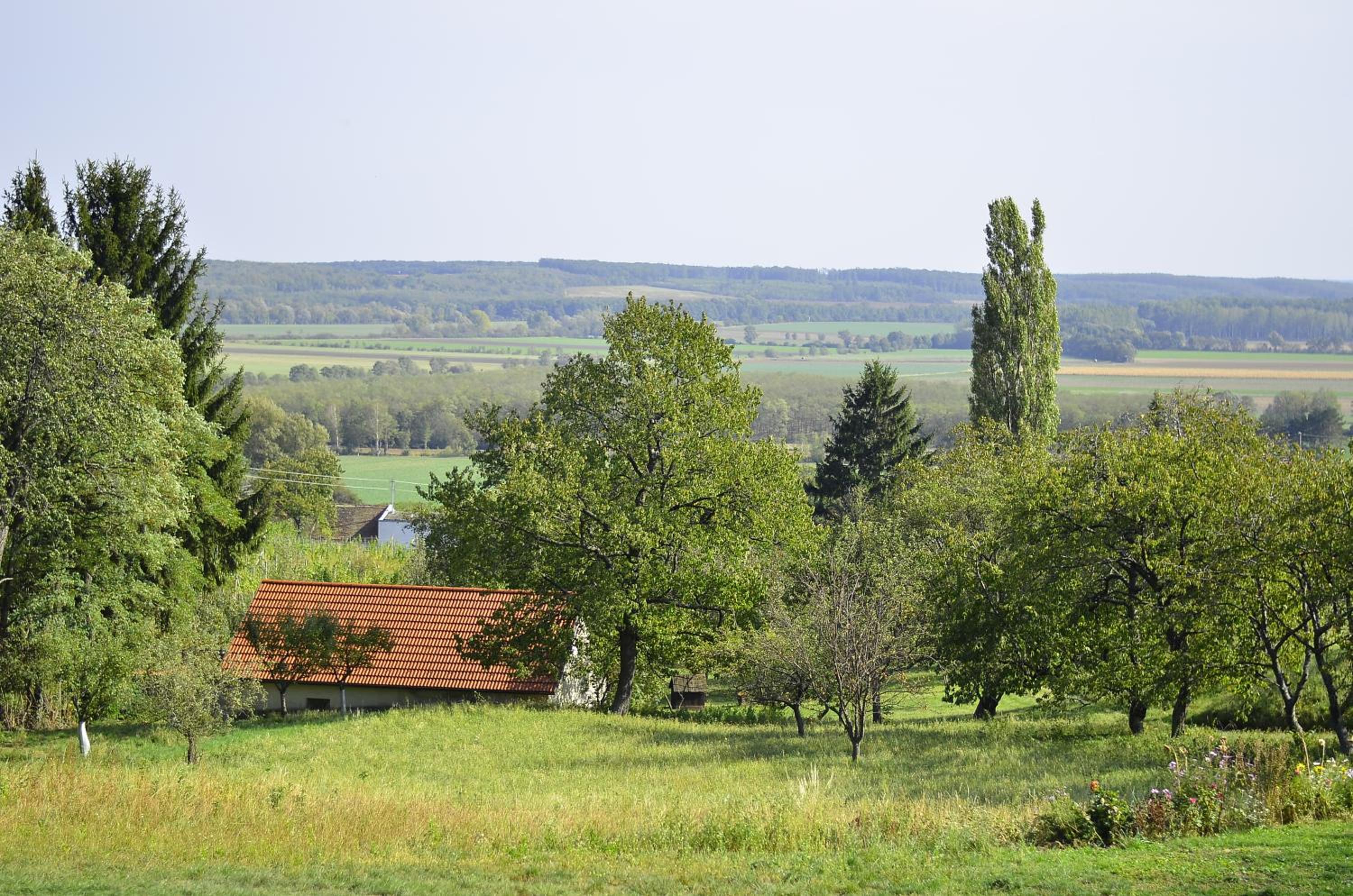 Kellerstöckl Prantner