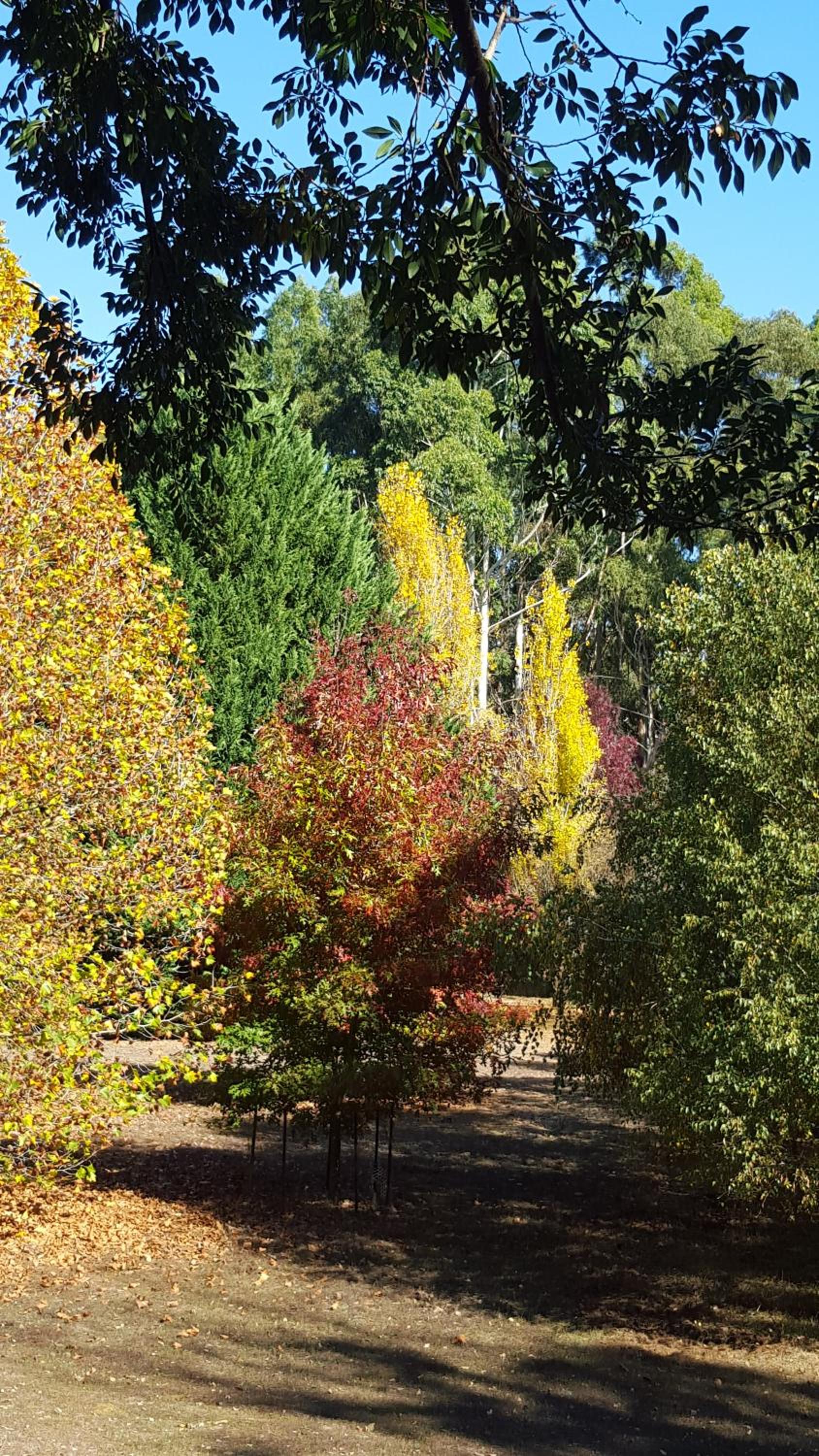 Redgum Hill Country Retreat