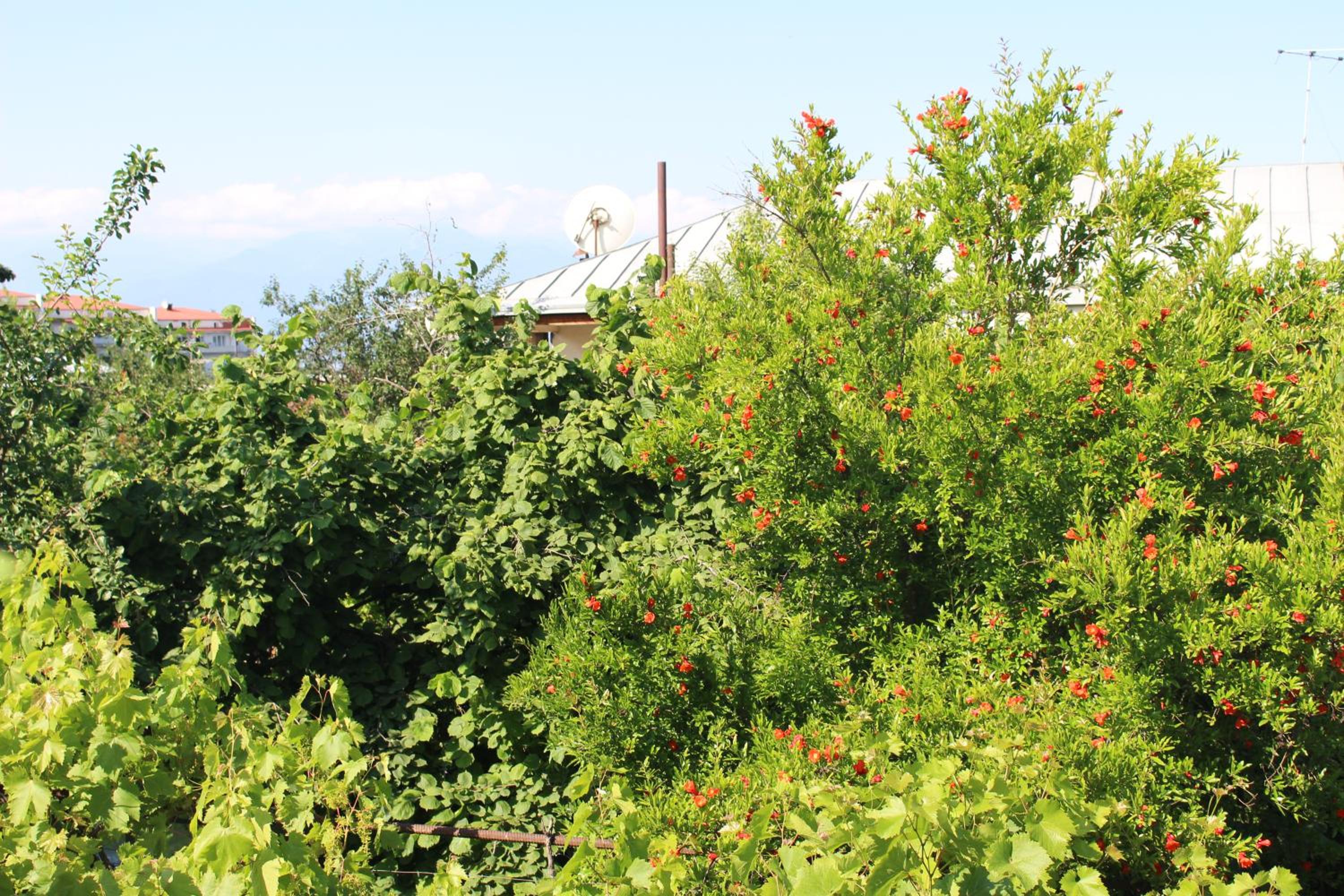 Holiday Home Ekaterine