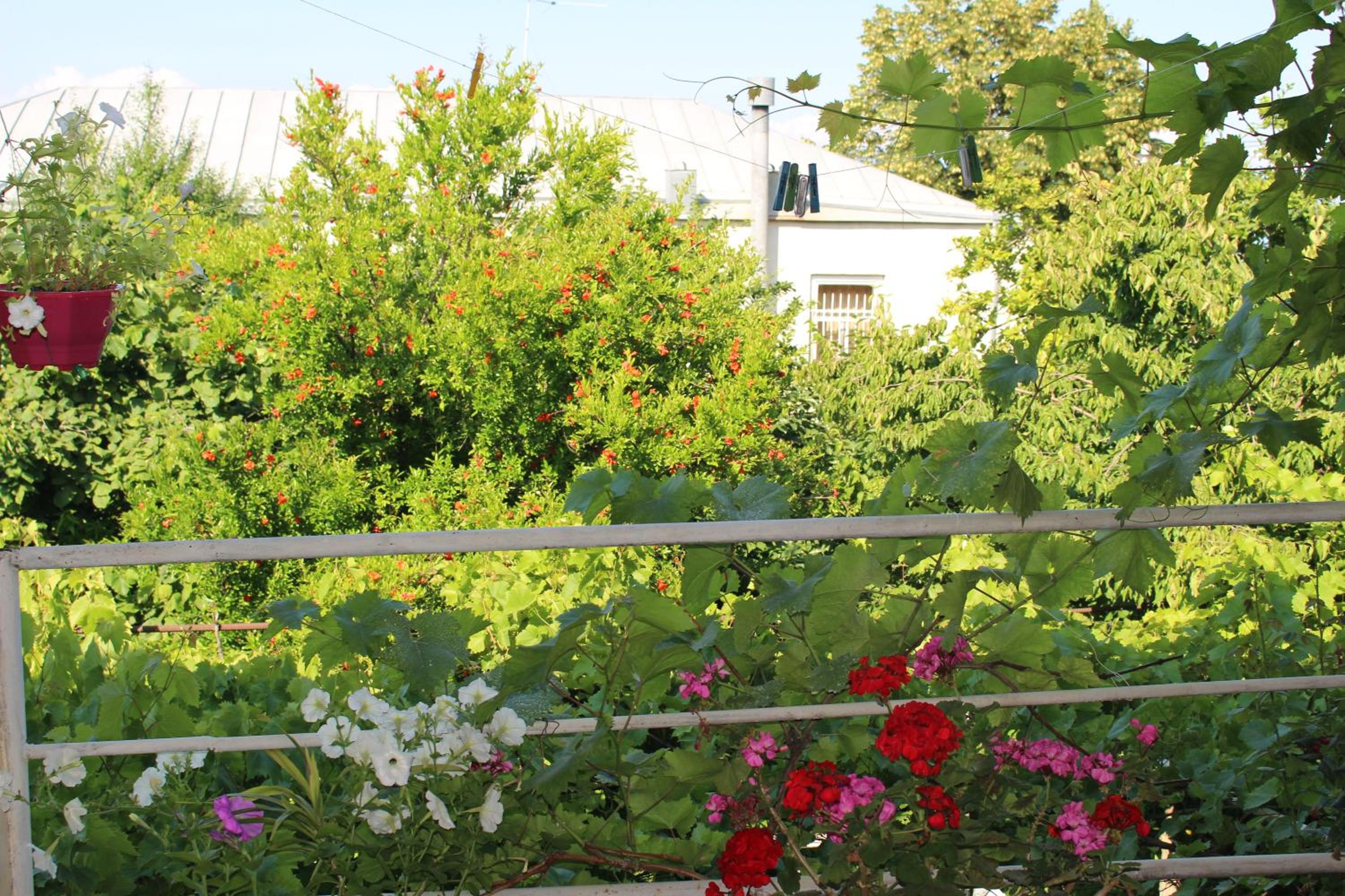 Holiday Home Ekaterine