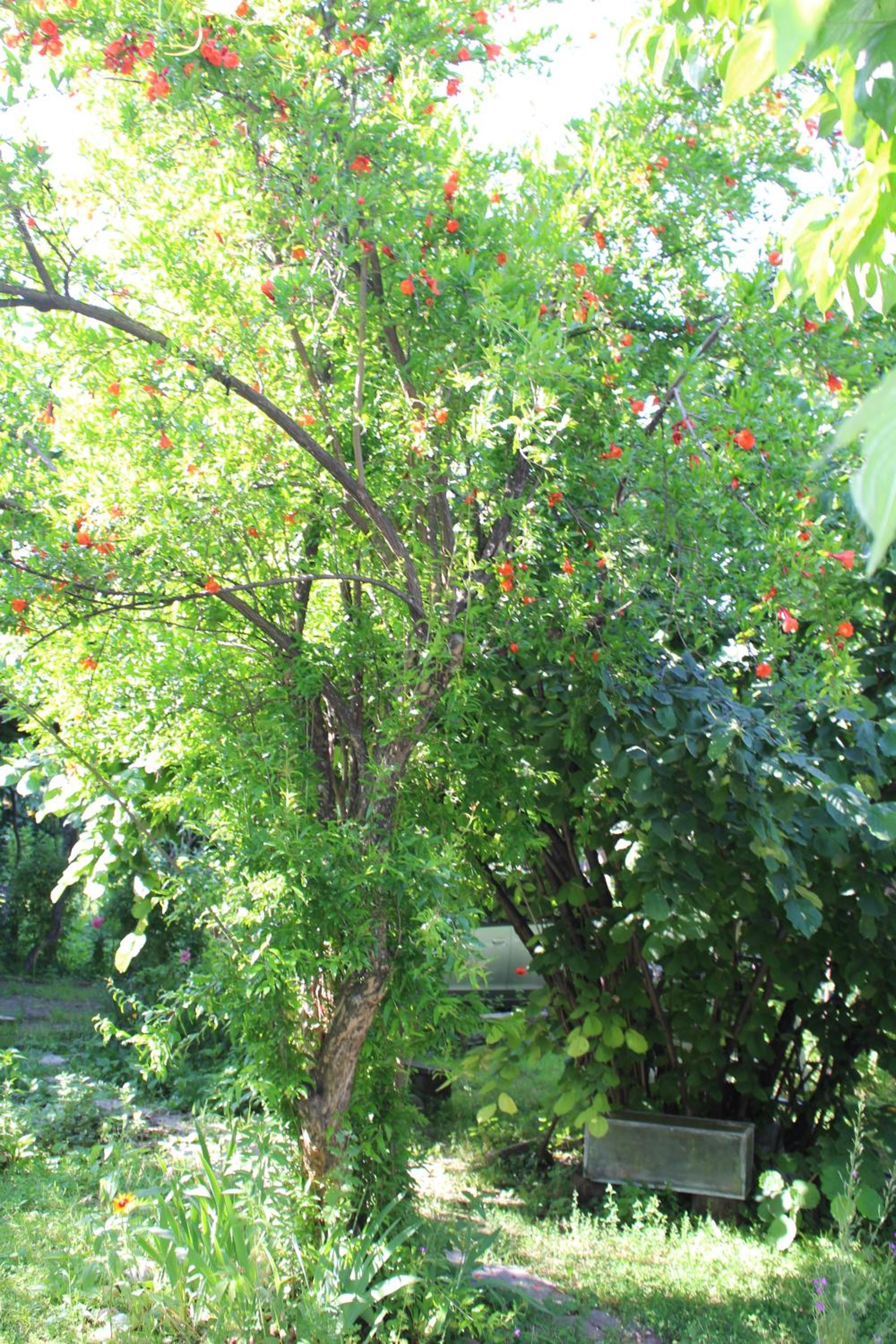 Holiday Home Ekaterine