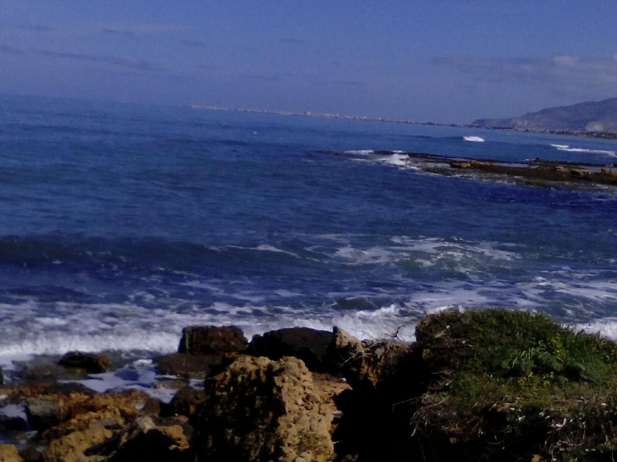 Photo 47
