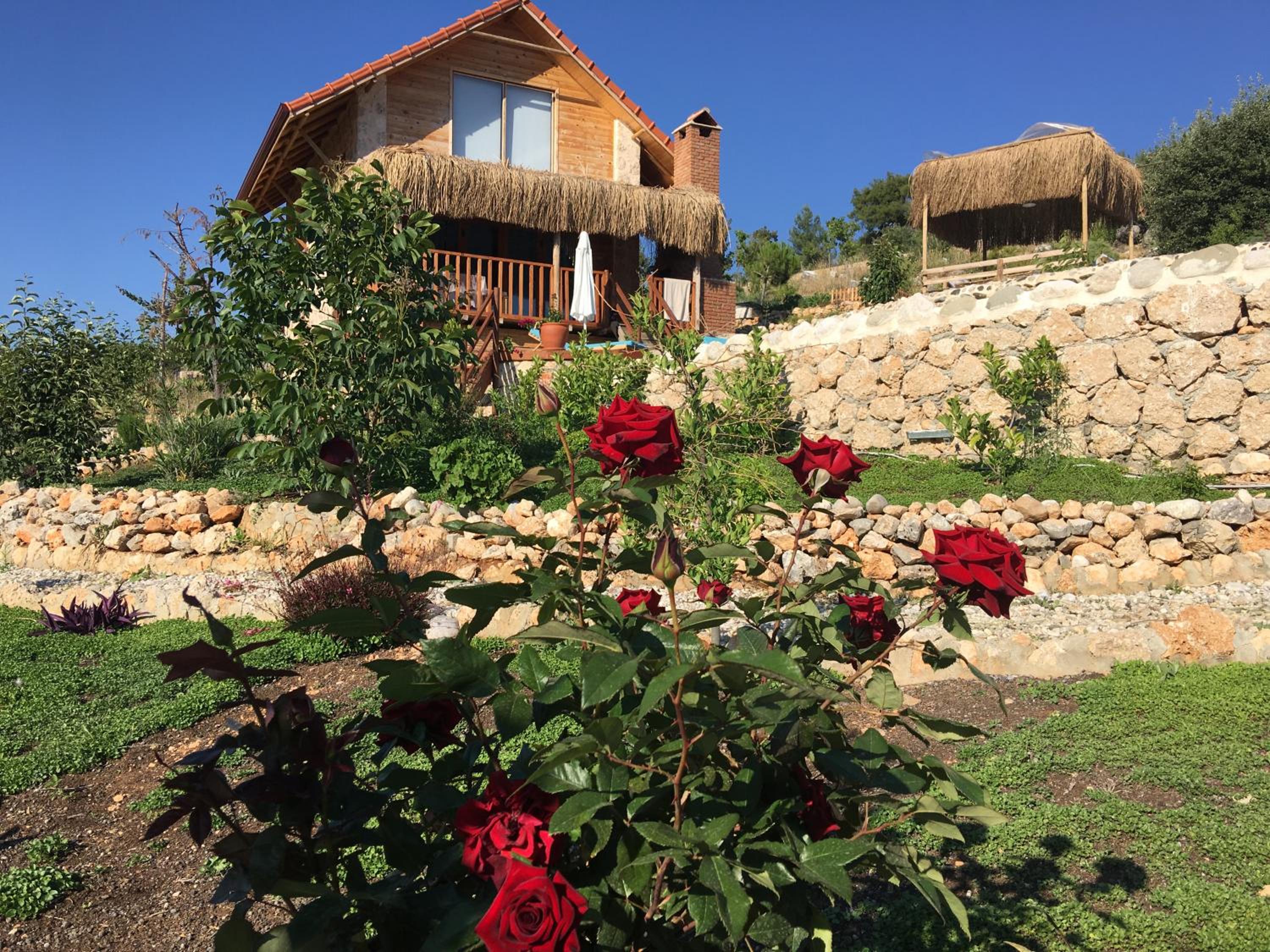 Ambar Evleri