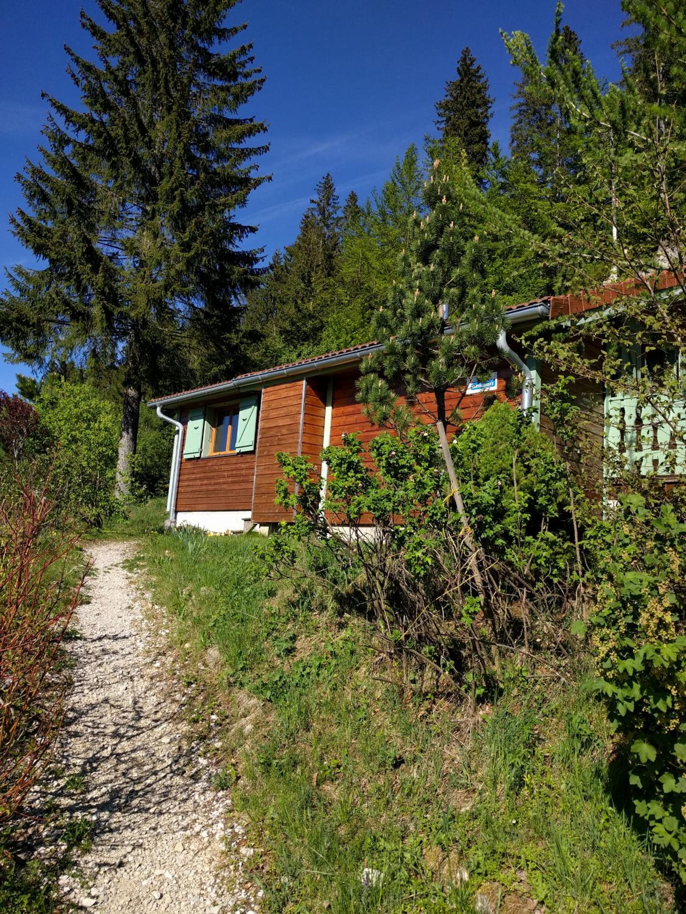 Photo 18