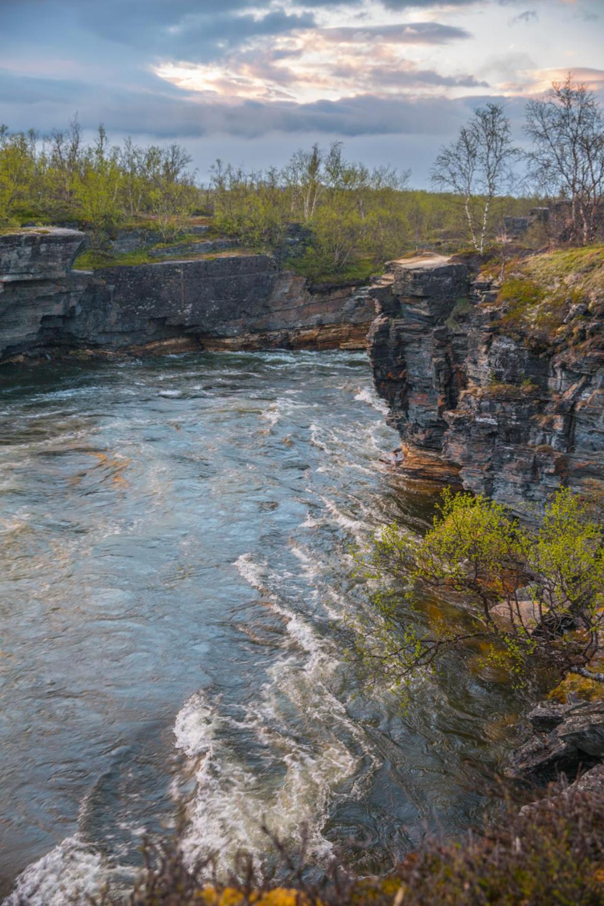 Abisko Guesthouse & Activities